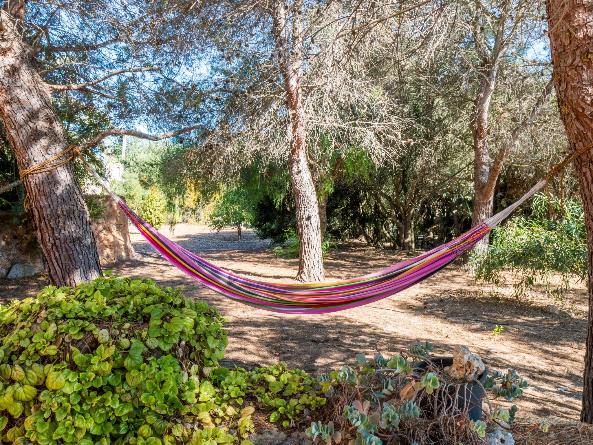 Landhaus Sa Torre de'n Pizà-Inside