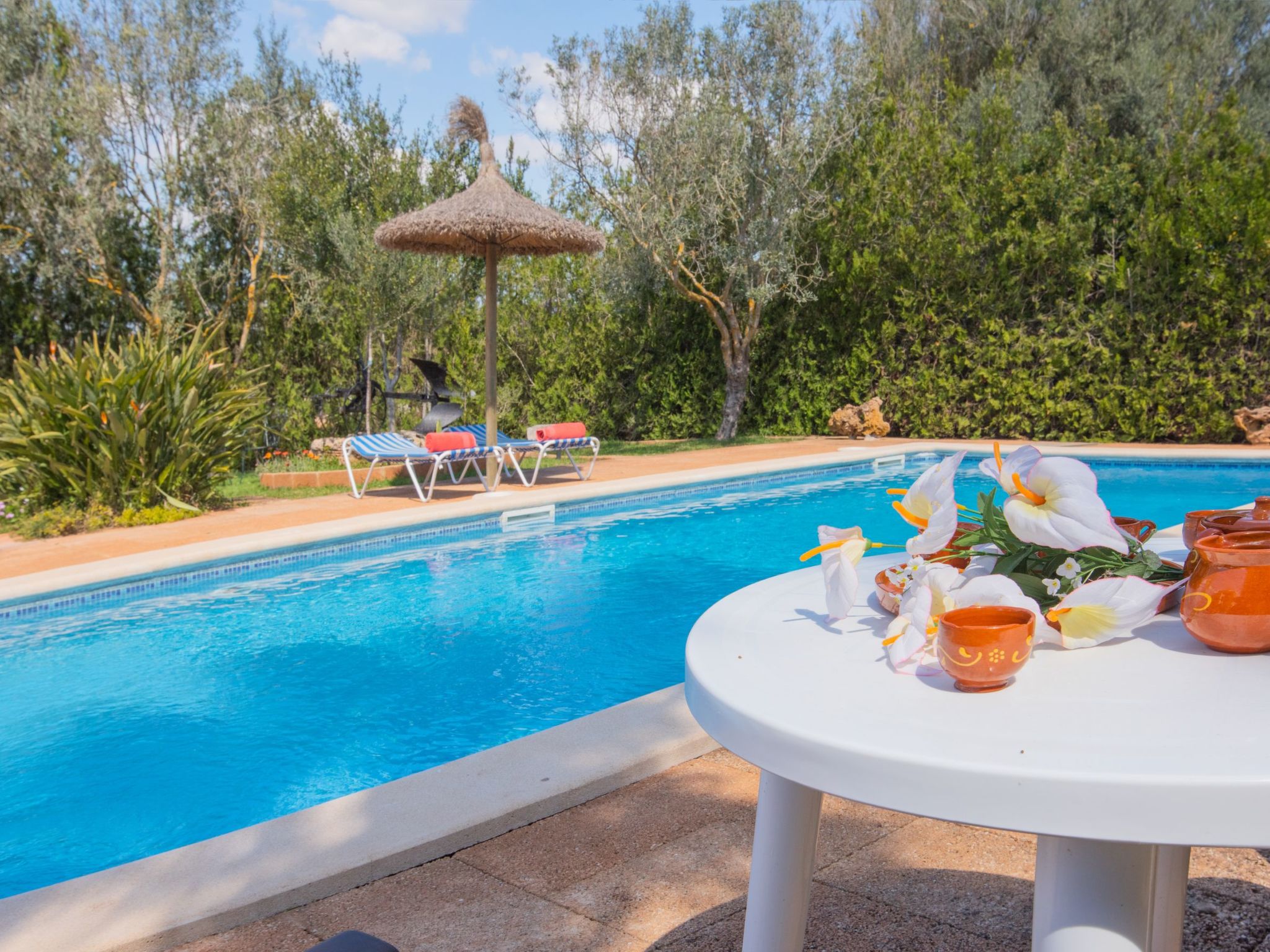 Finca "Figueral Vicens" mit privatem Pool-Binnen