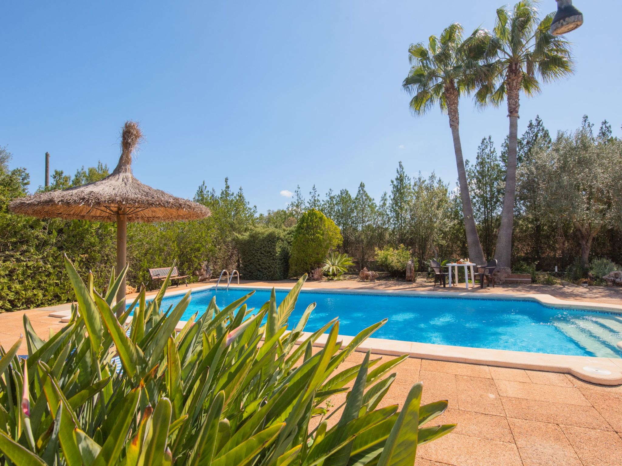Finca "Figueral Vicens" mit privatem Pool-Binnen