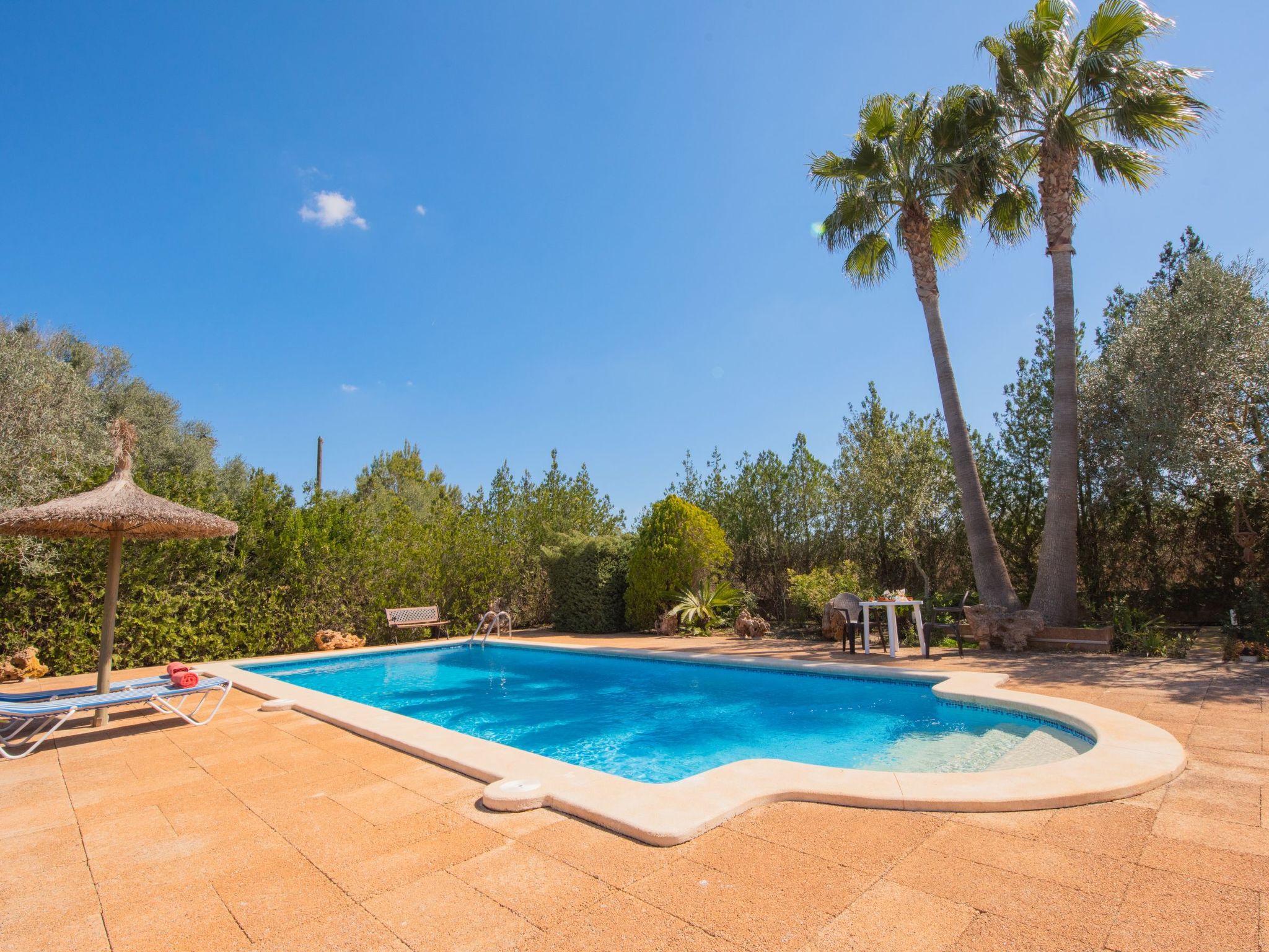 Finca "Figueral Vicens" mit privatem Pool-Binnen