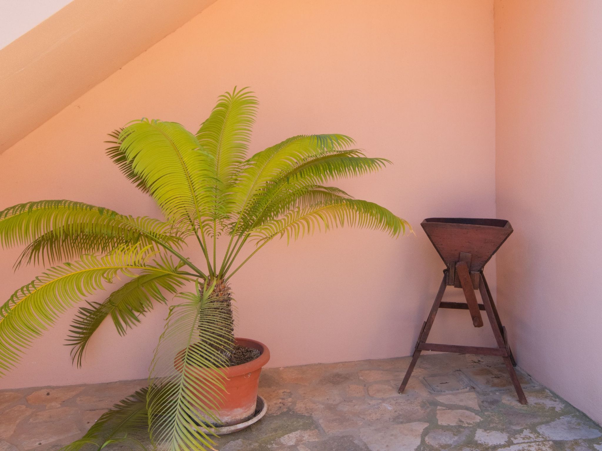 Finca "Figueral Vicens" mit privatem Pool-Binnen