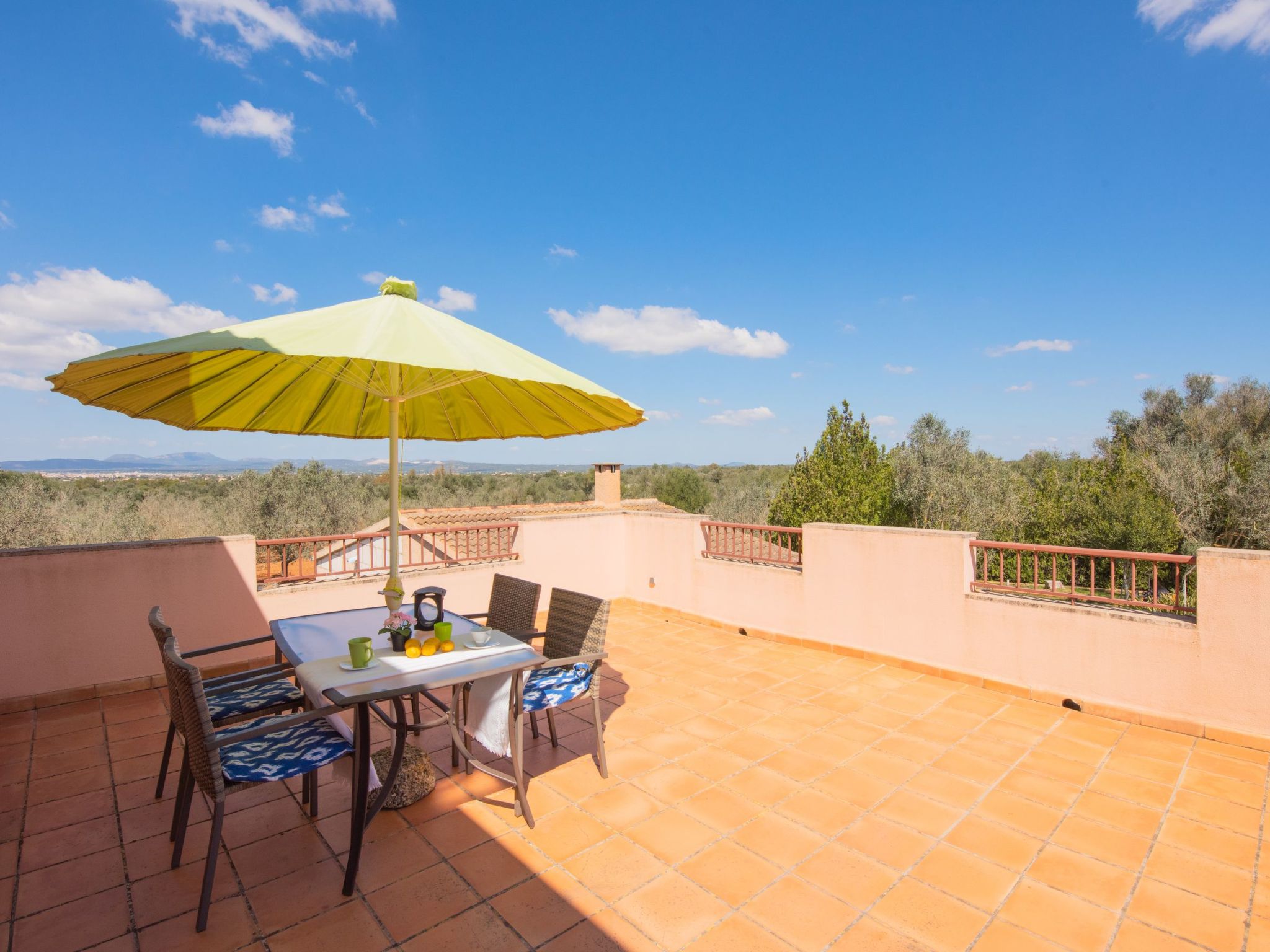 Finca "Figueral Vicens" mit privatem Pool-Binnen