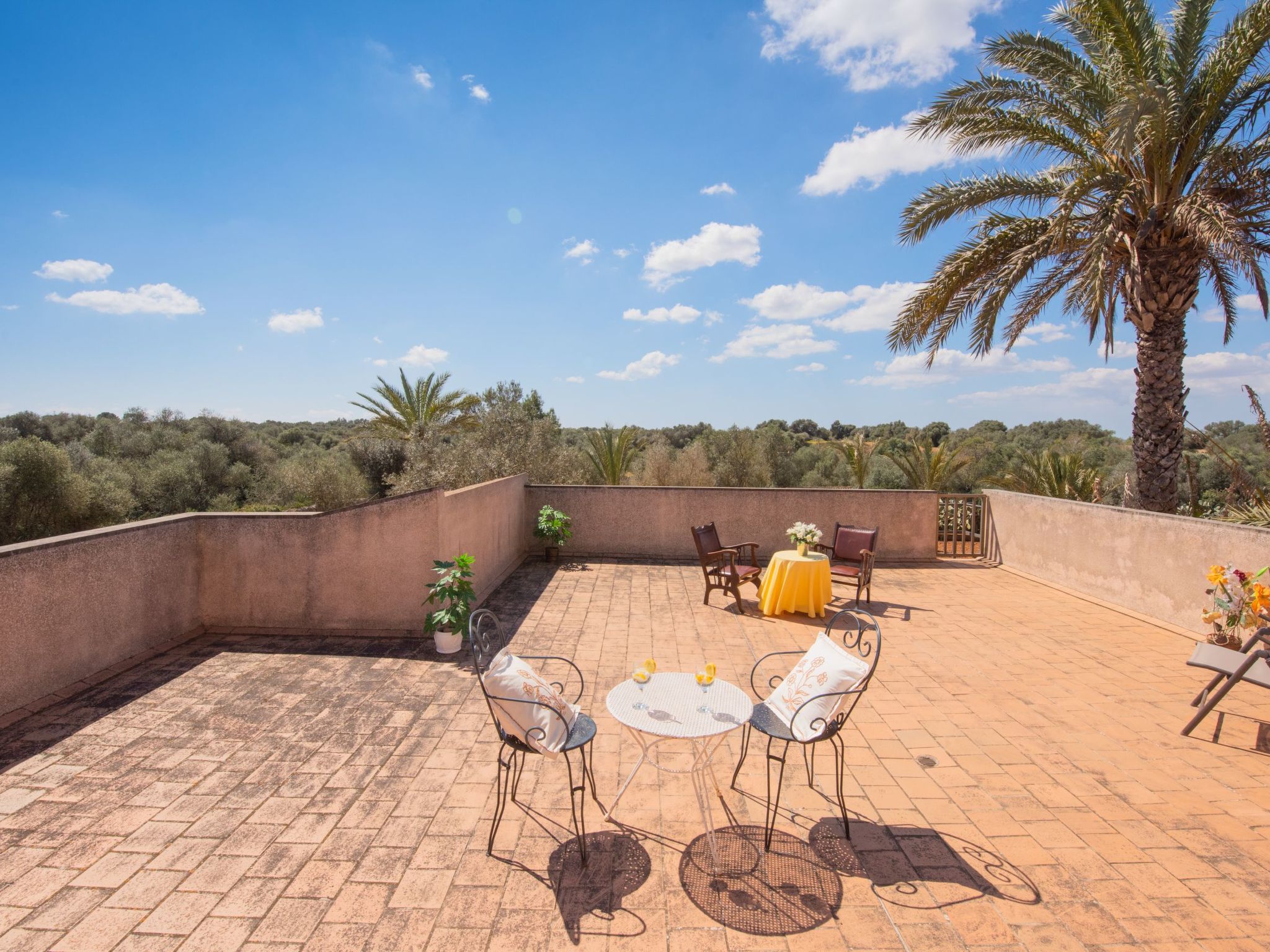 Finca "Figueral Vicens" mit privatem Pool-Binnen