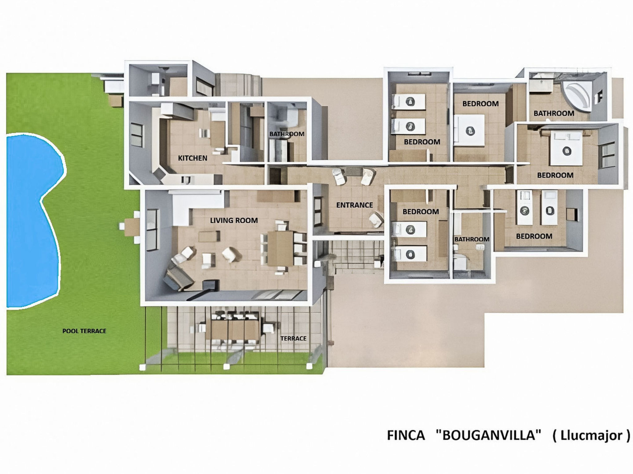 Bouganville - Binnen