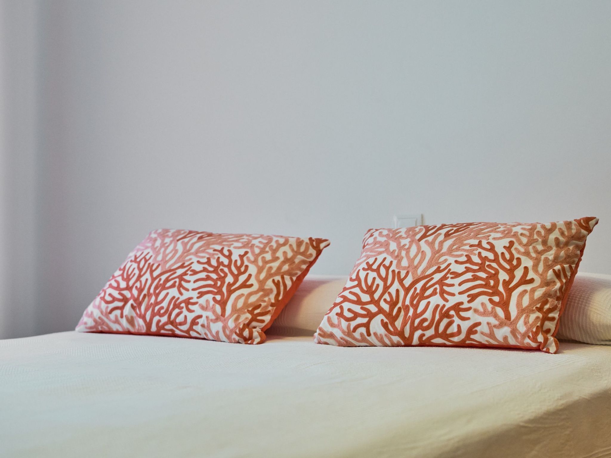 Rafal-Image-tags.info