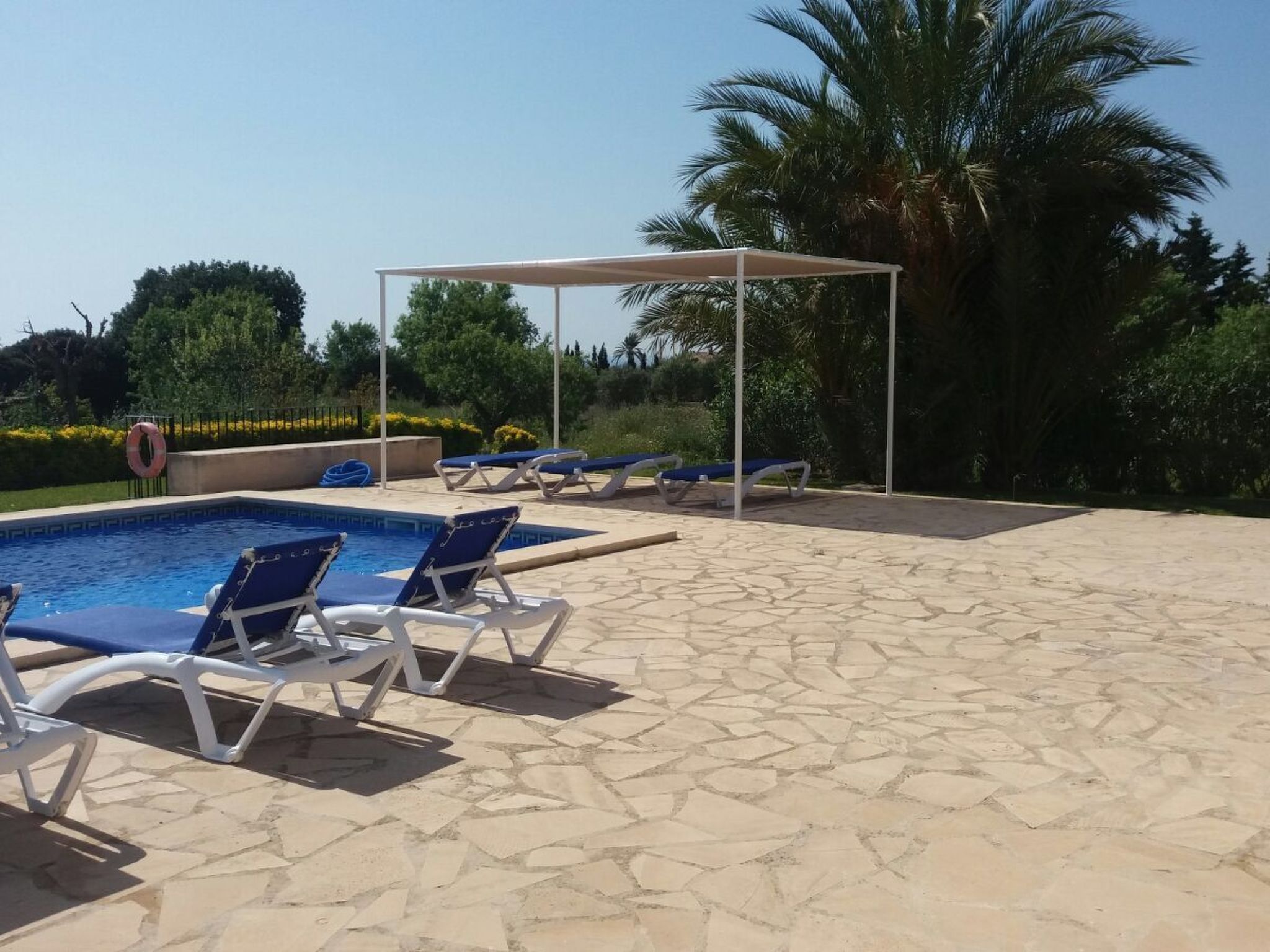 Romana-Image-tags.info