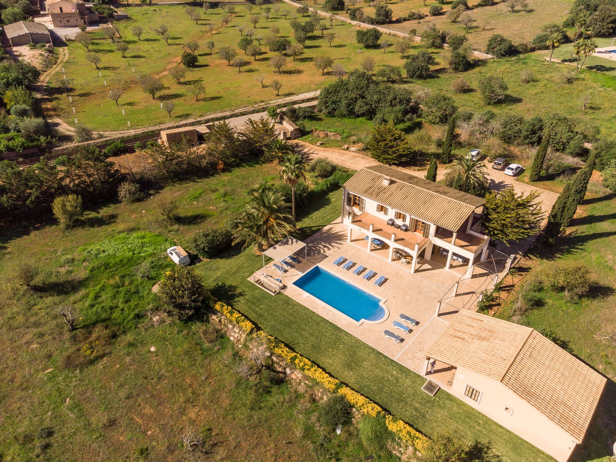 Romana-Image-tags.info