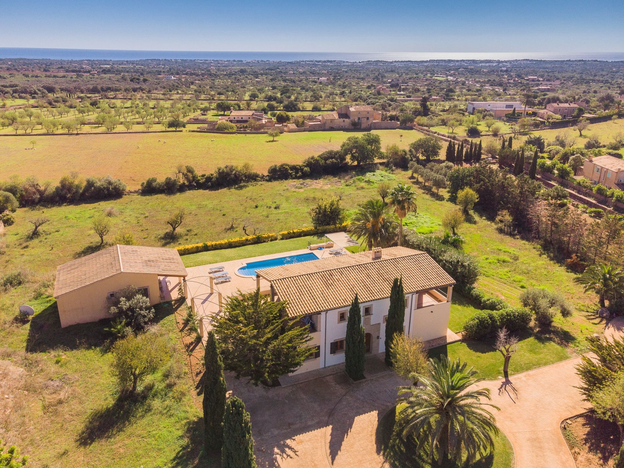 Romana-Image-tags.info