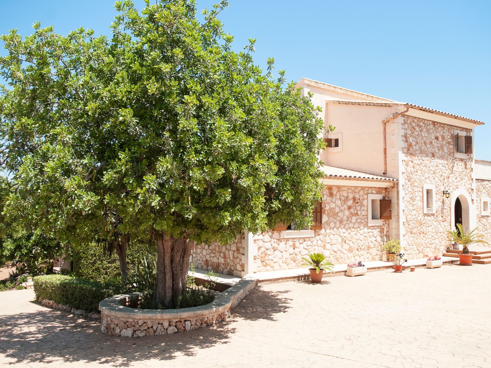 Ullastre-Image-tags.info