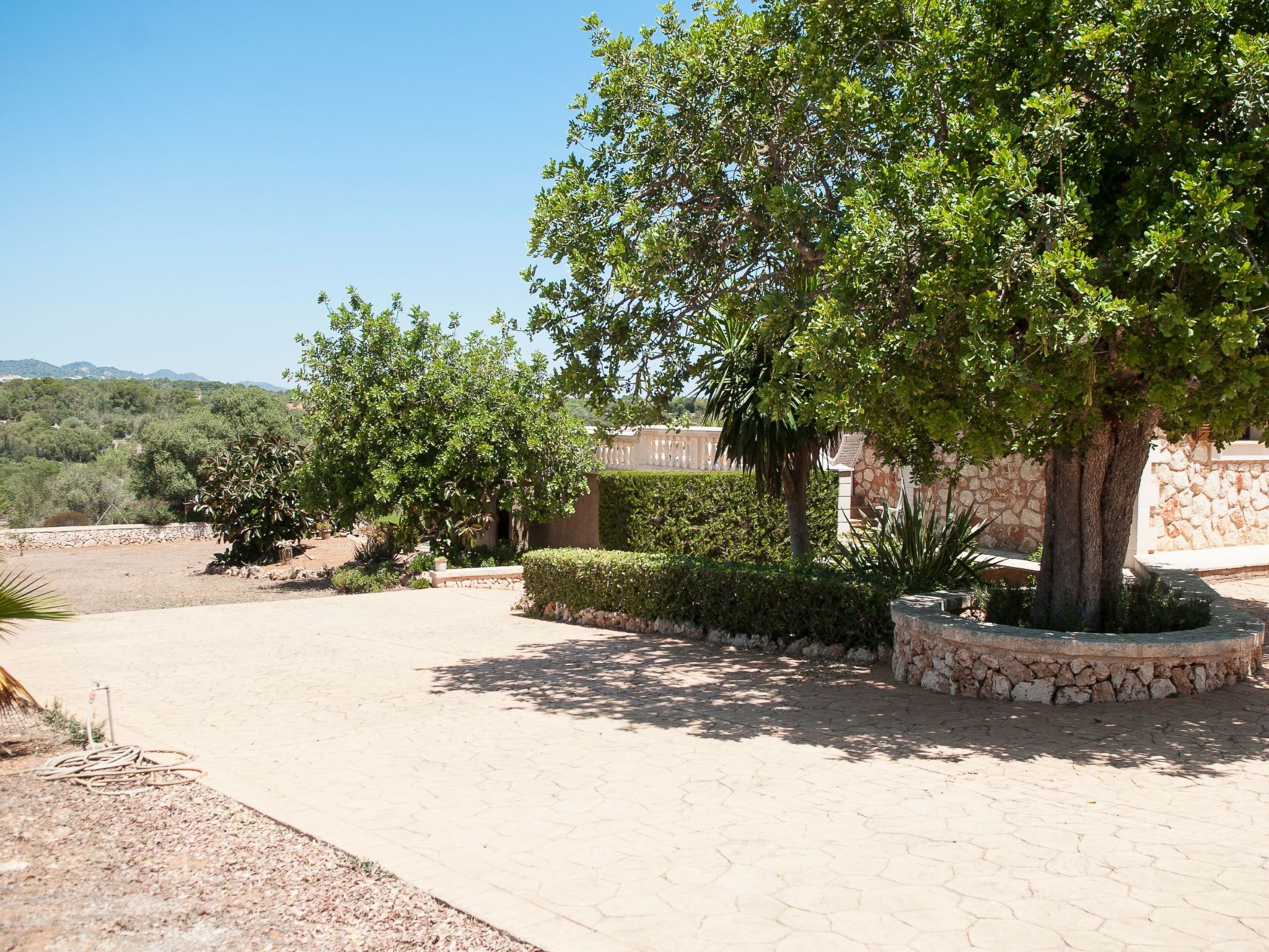 Ullastre-Image-tags.info