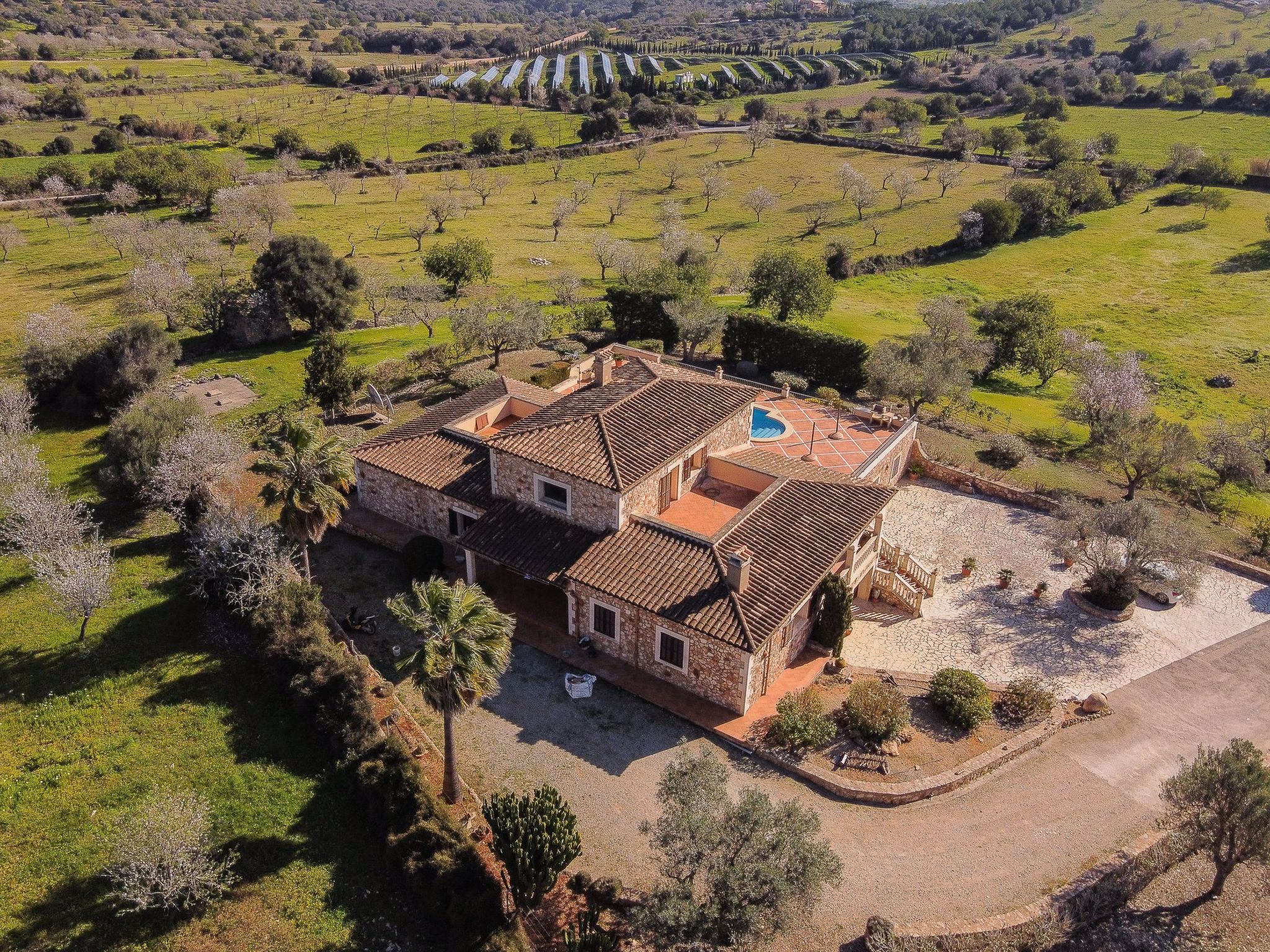 Pujolet-Image-tags.info