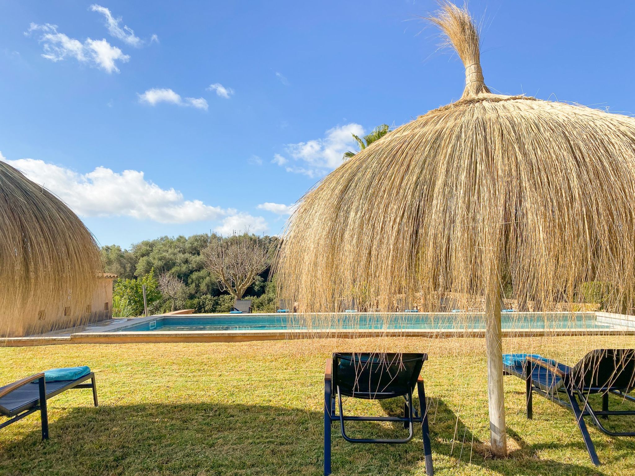 Parra-Image-tags.info