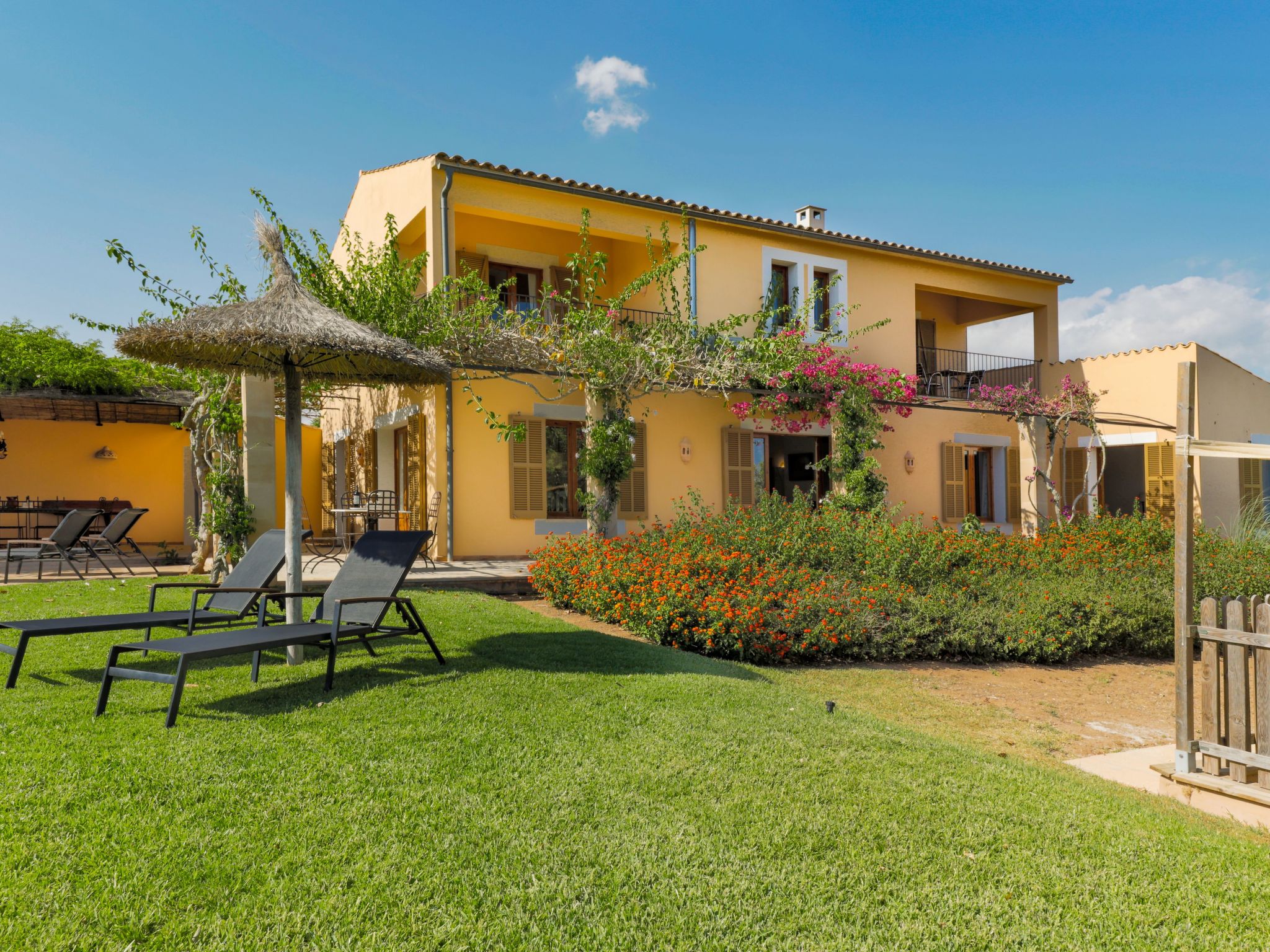 Parra-Image-tags.info