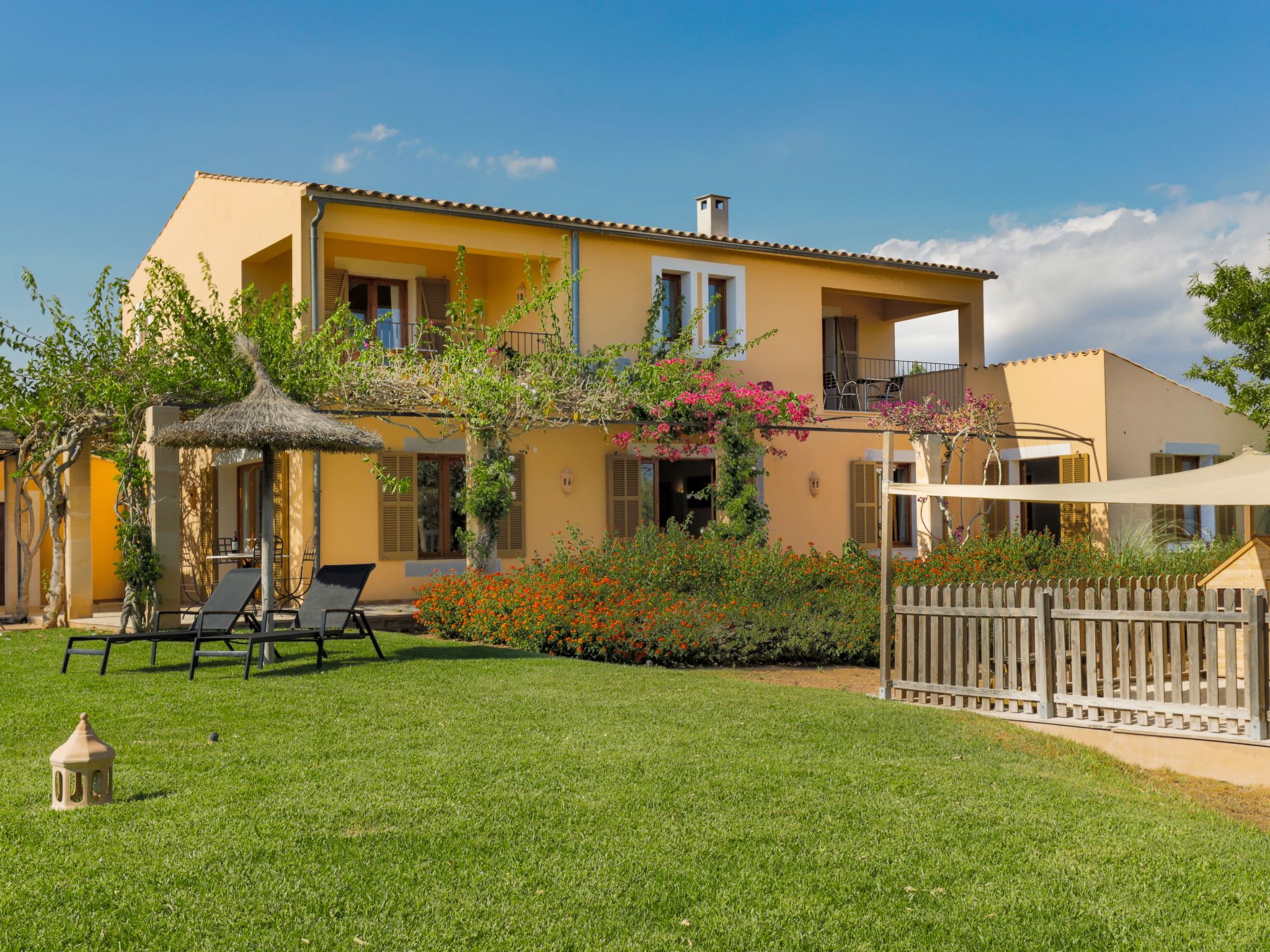 Parra-Image-tags.info