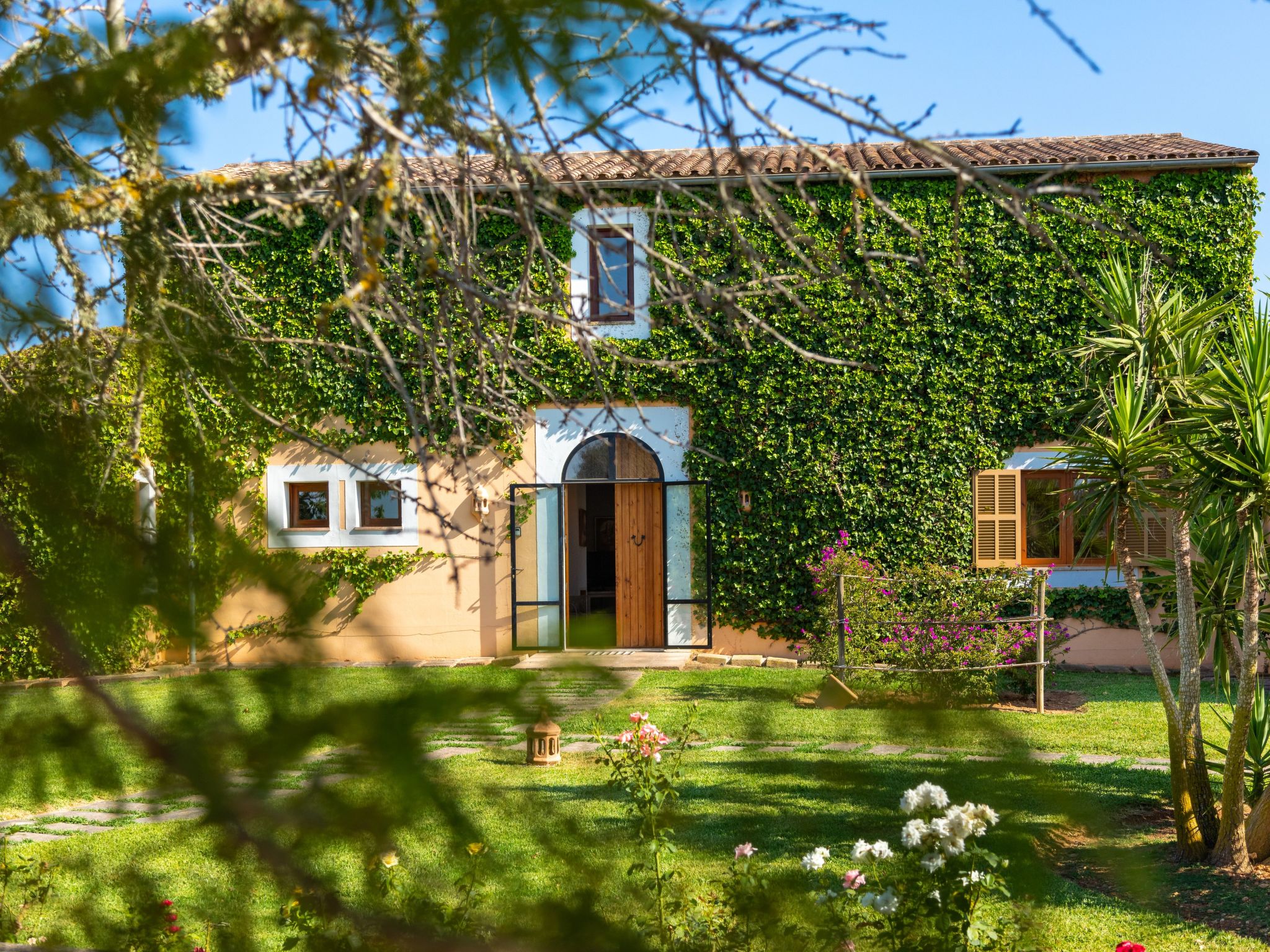 Parra-Image-tags.info