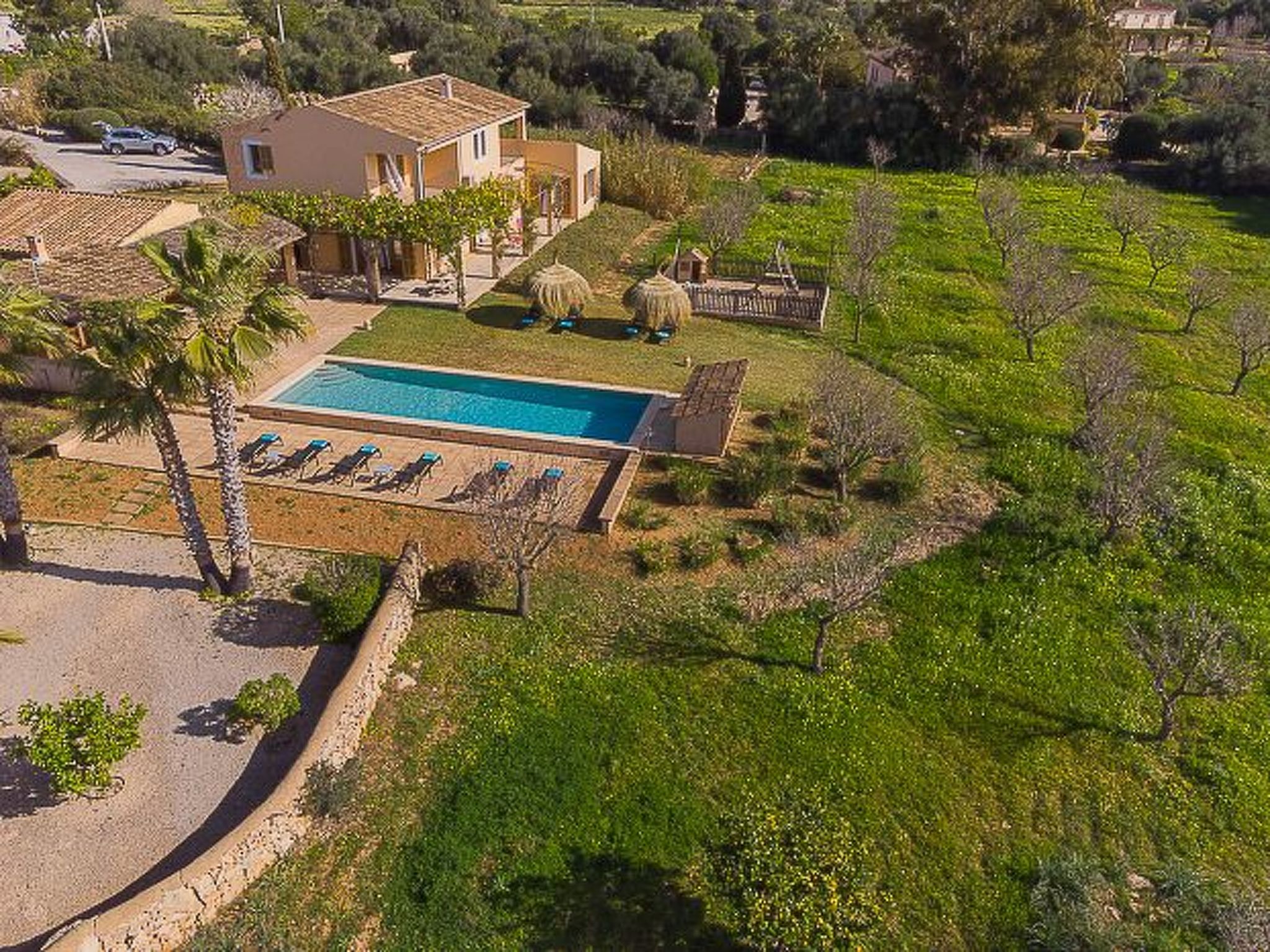 Parra-Image-tags.info