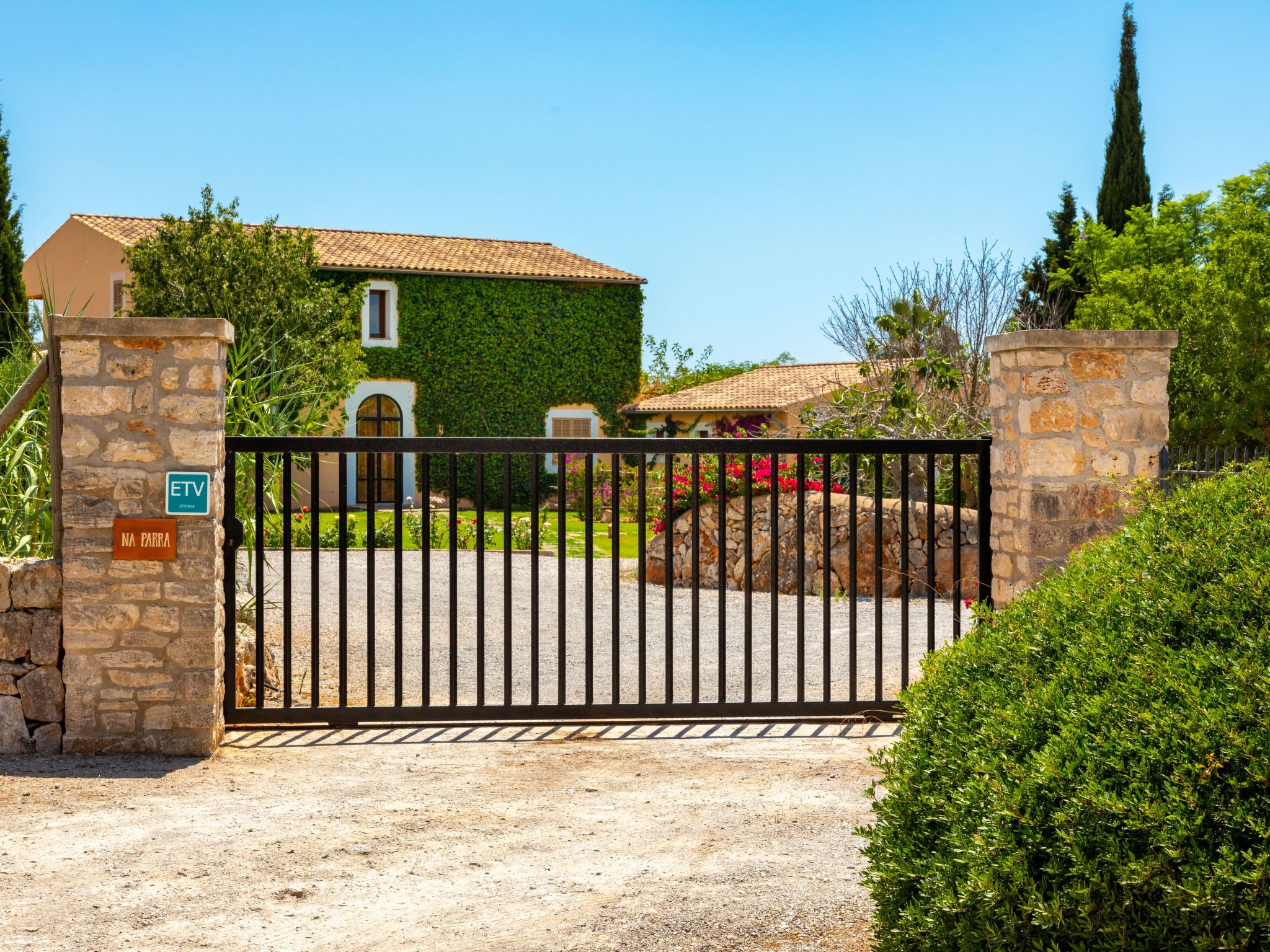 Parra-Image-tags.info