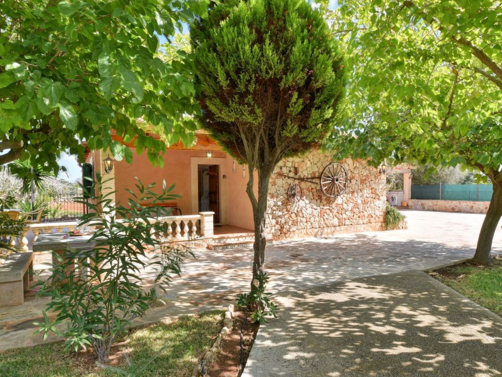 Daniel-Image-tags.info