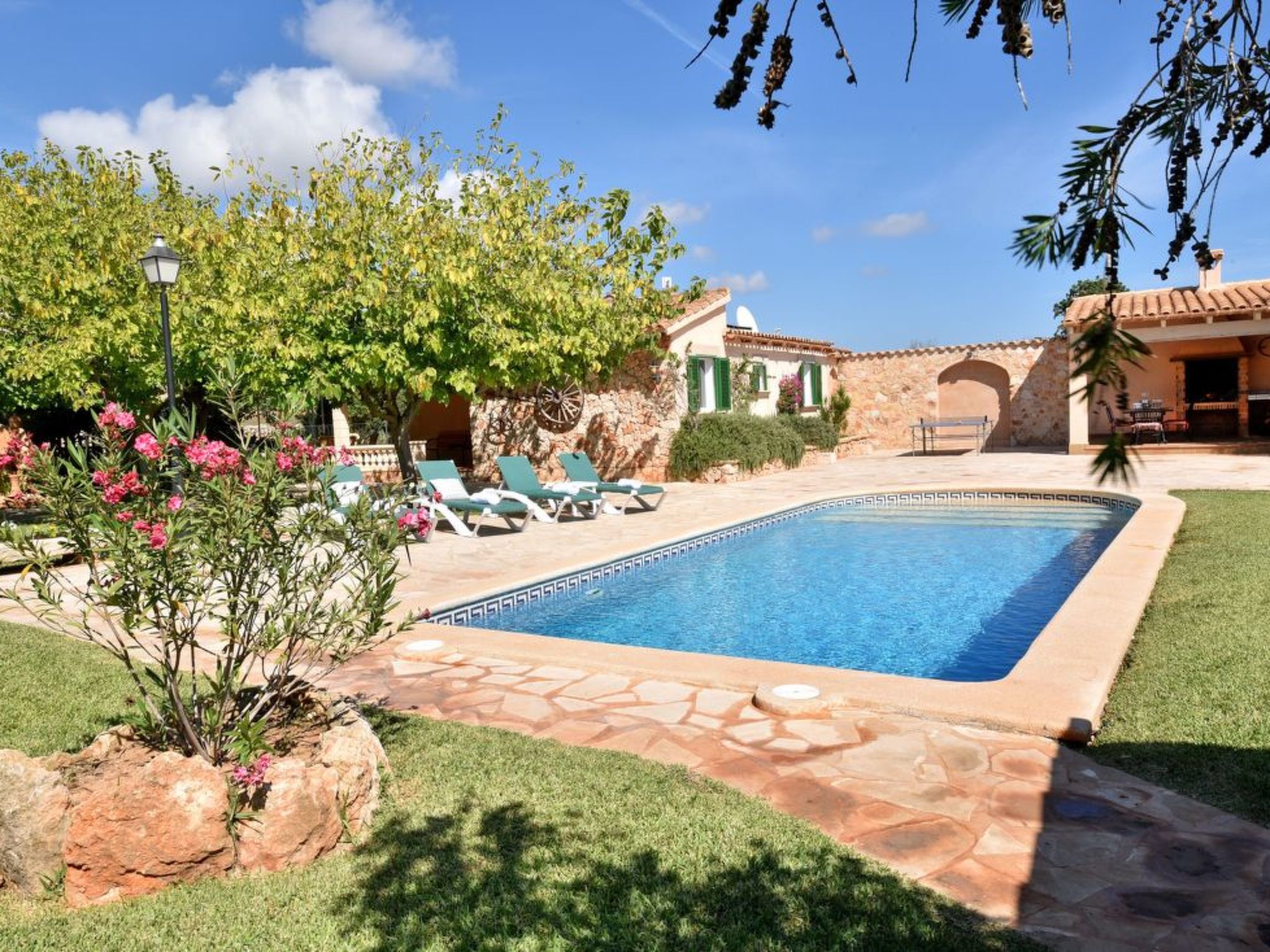 Daniel-Image-tags.info