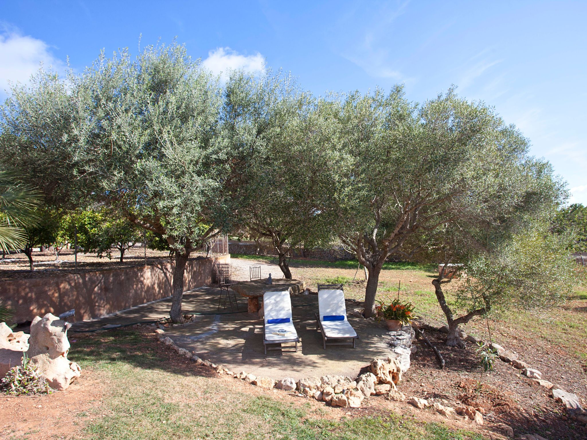 Finca Can Marines-Binnen