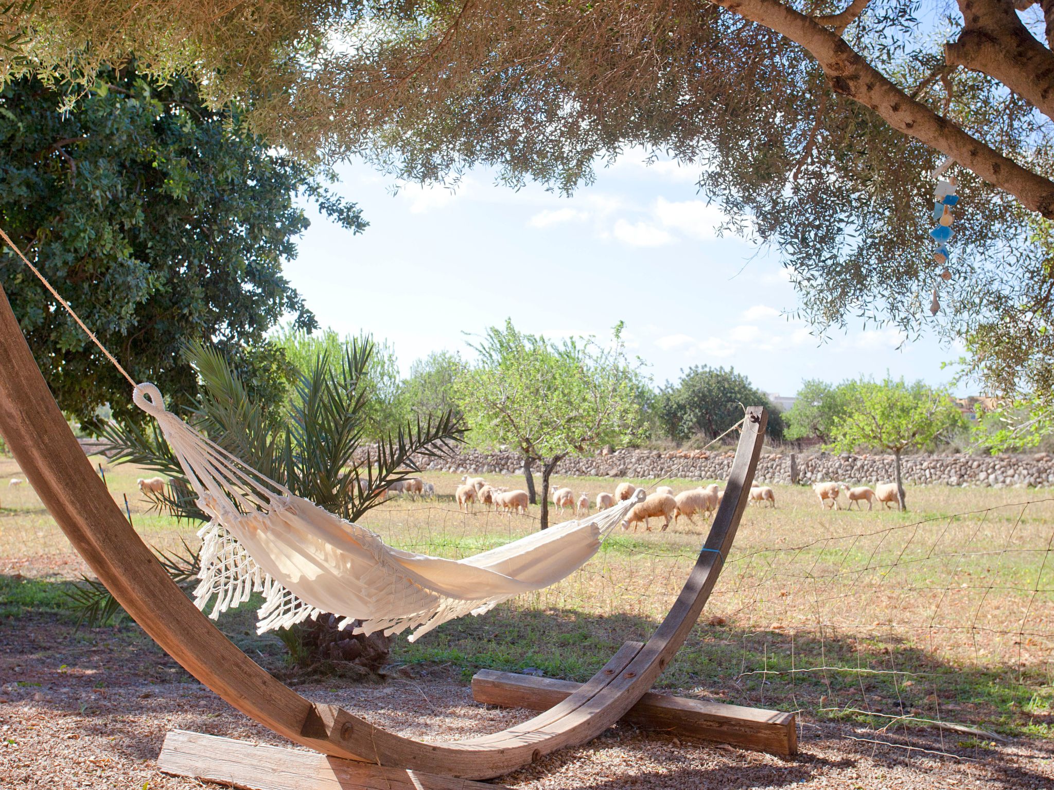 Finca Can Marines-Binnen