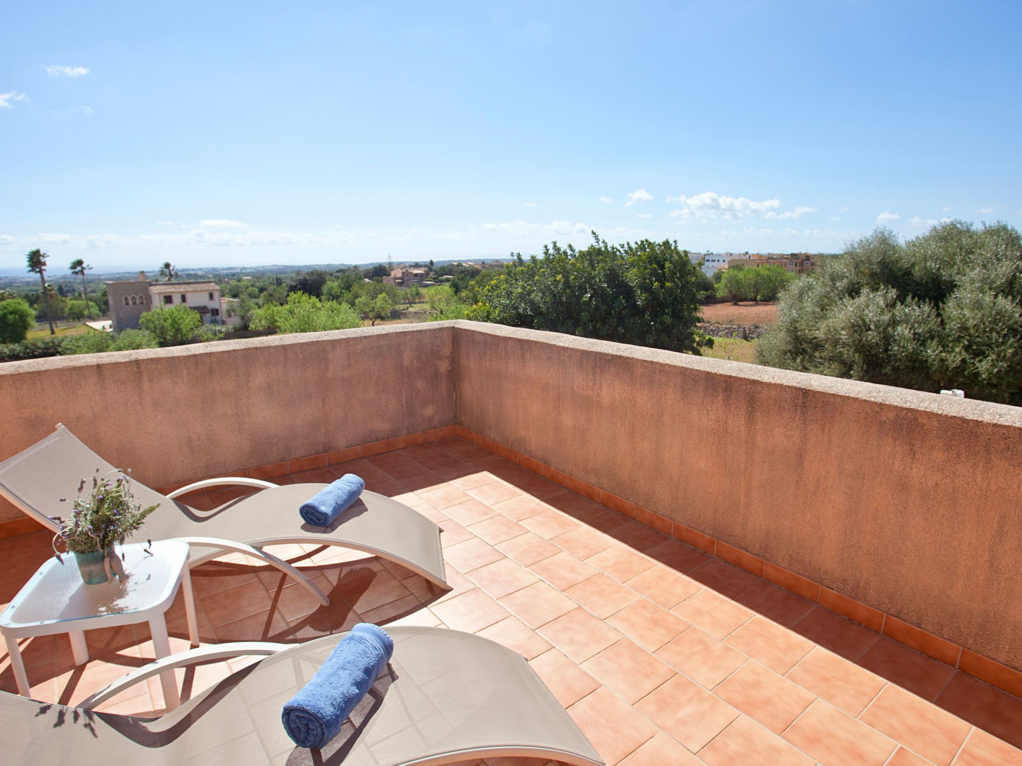 Finca Can Marines-Binnen