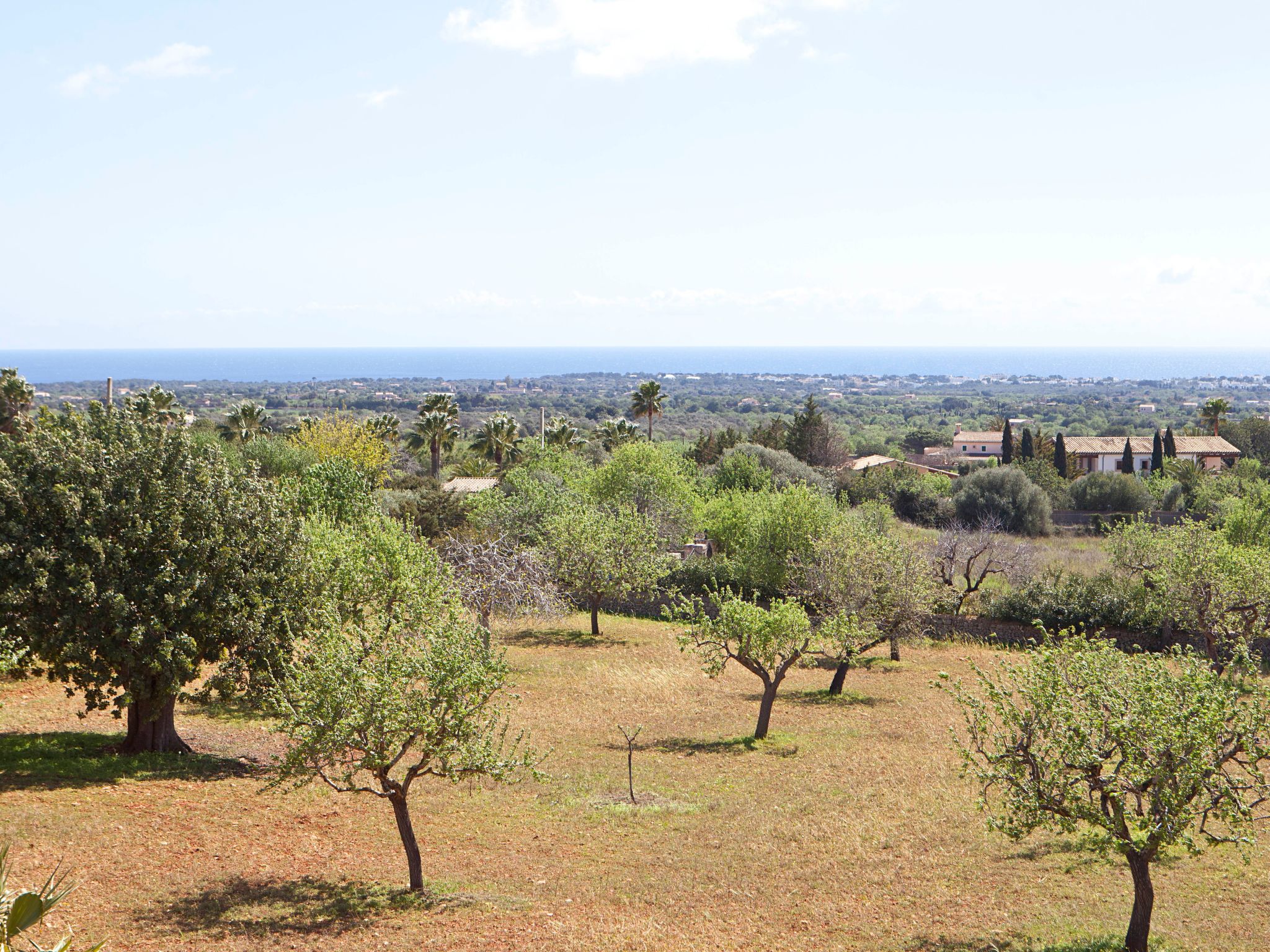 Finca Can Marines-Binnen