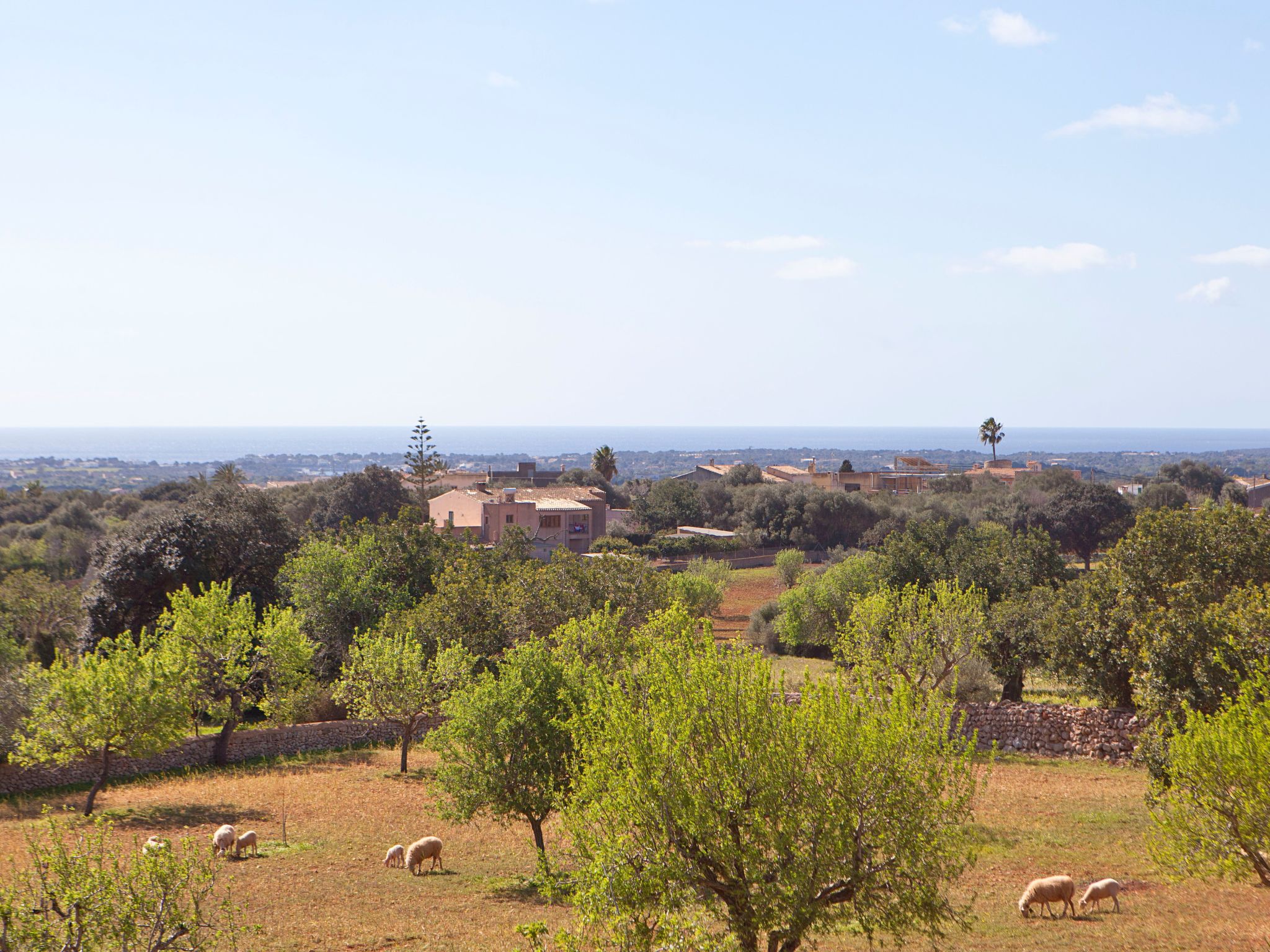 Finca Can Marines-Binnen