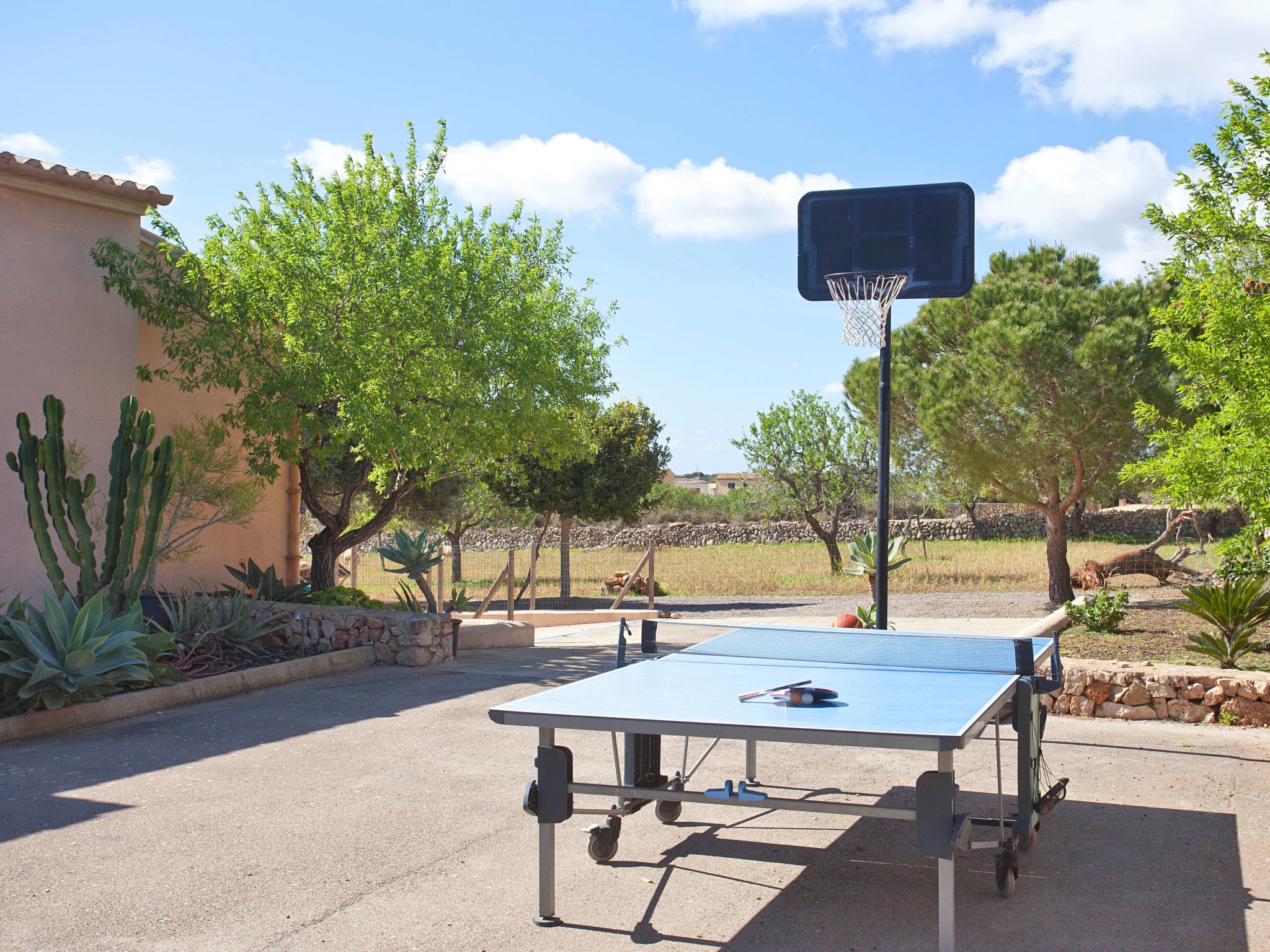 Finca Can Marines-Binnen