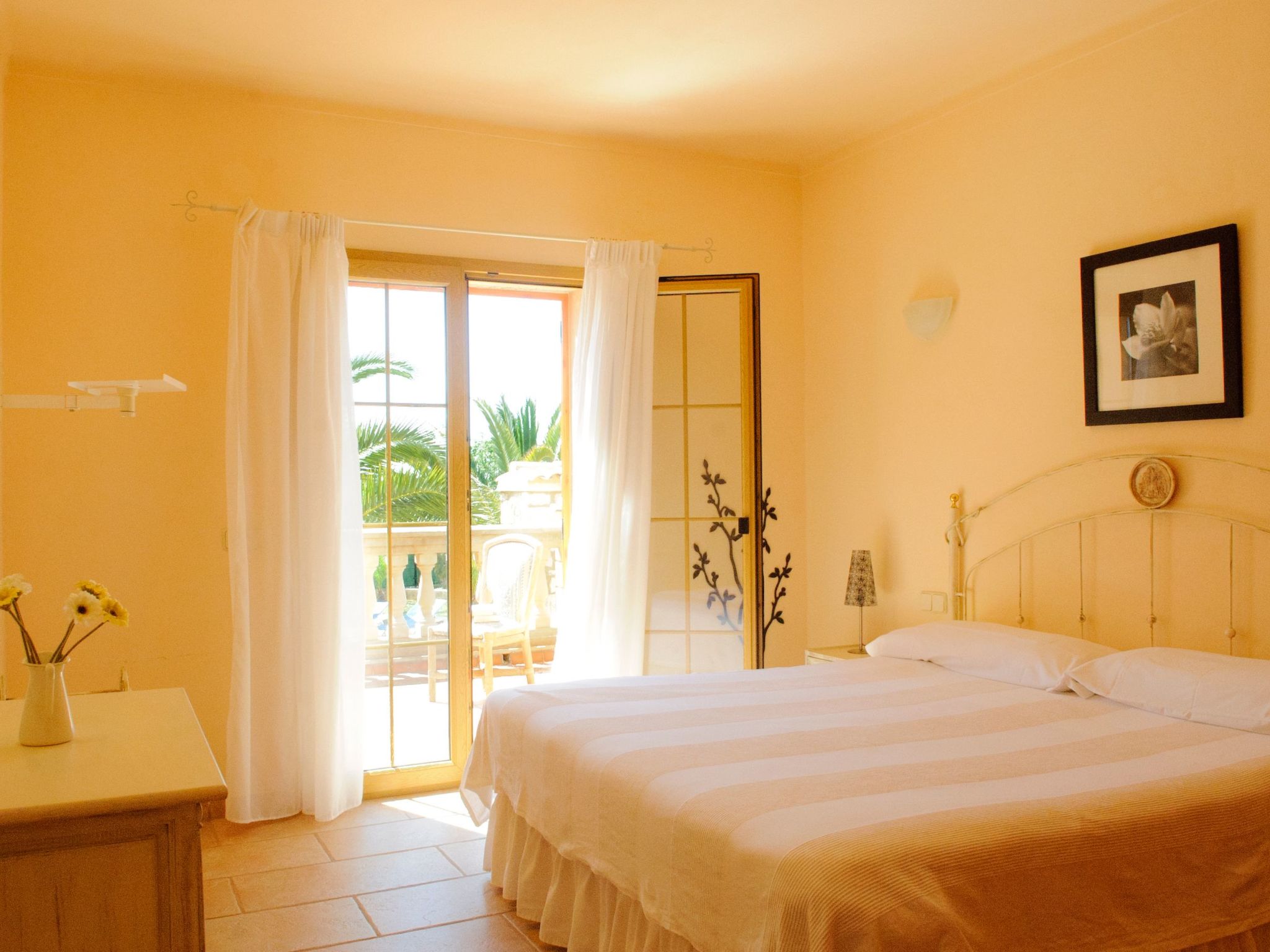 Cullera-Image-tags.info