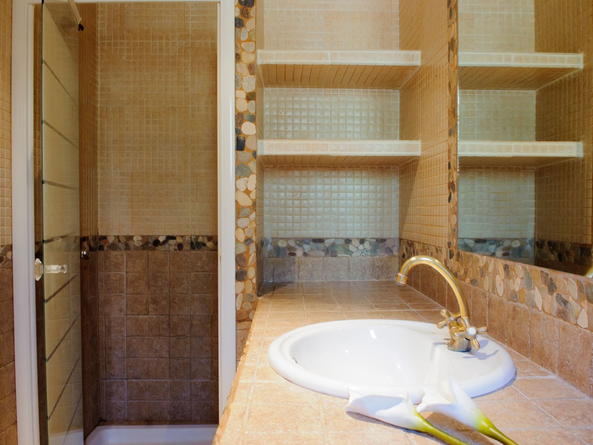 Cullera-Image-tags.info