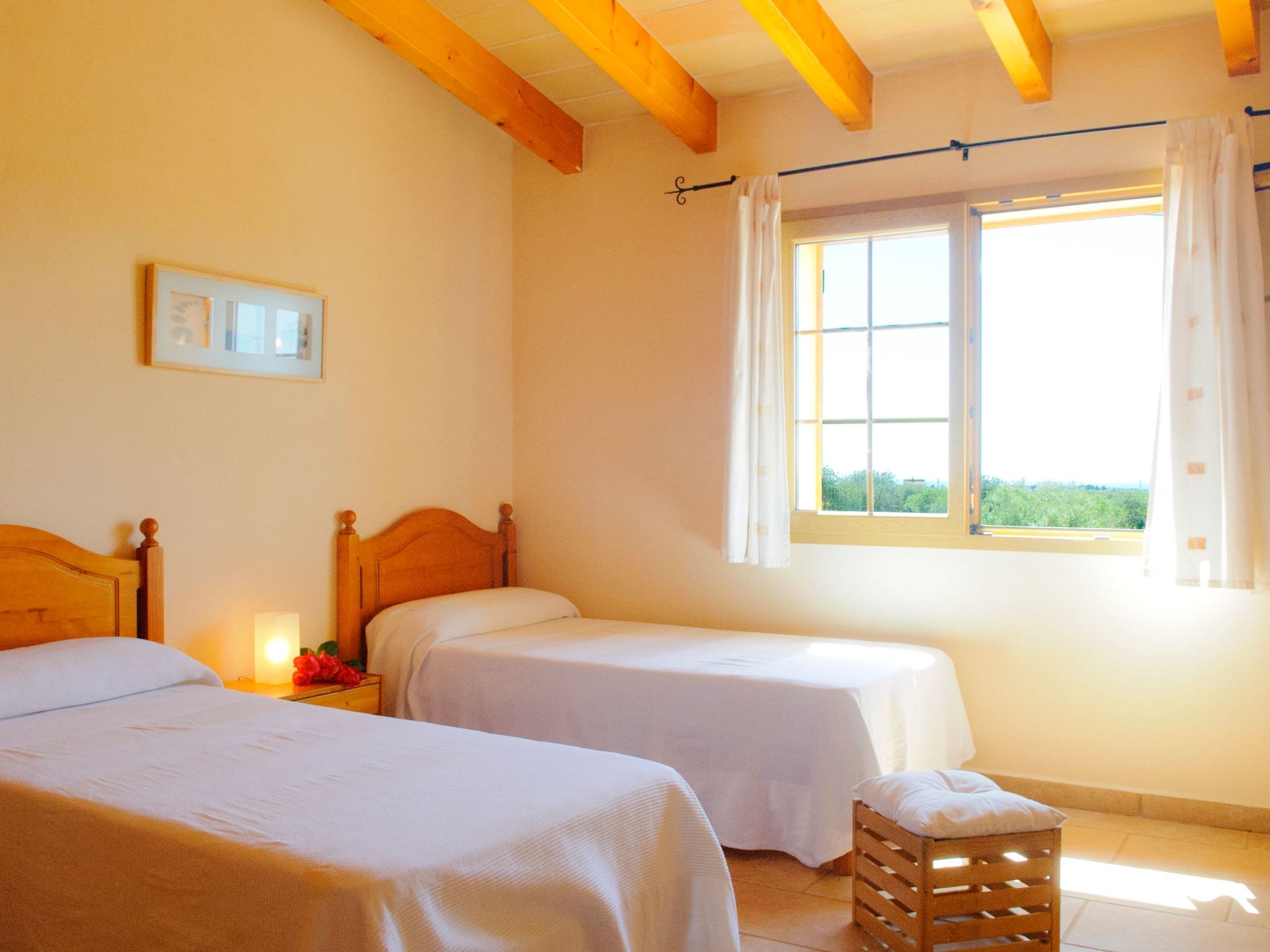 Cullera-Image-tags.info