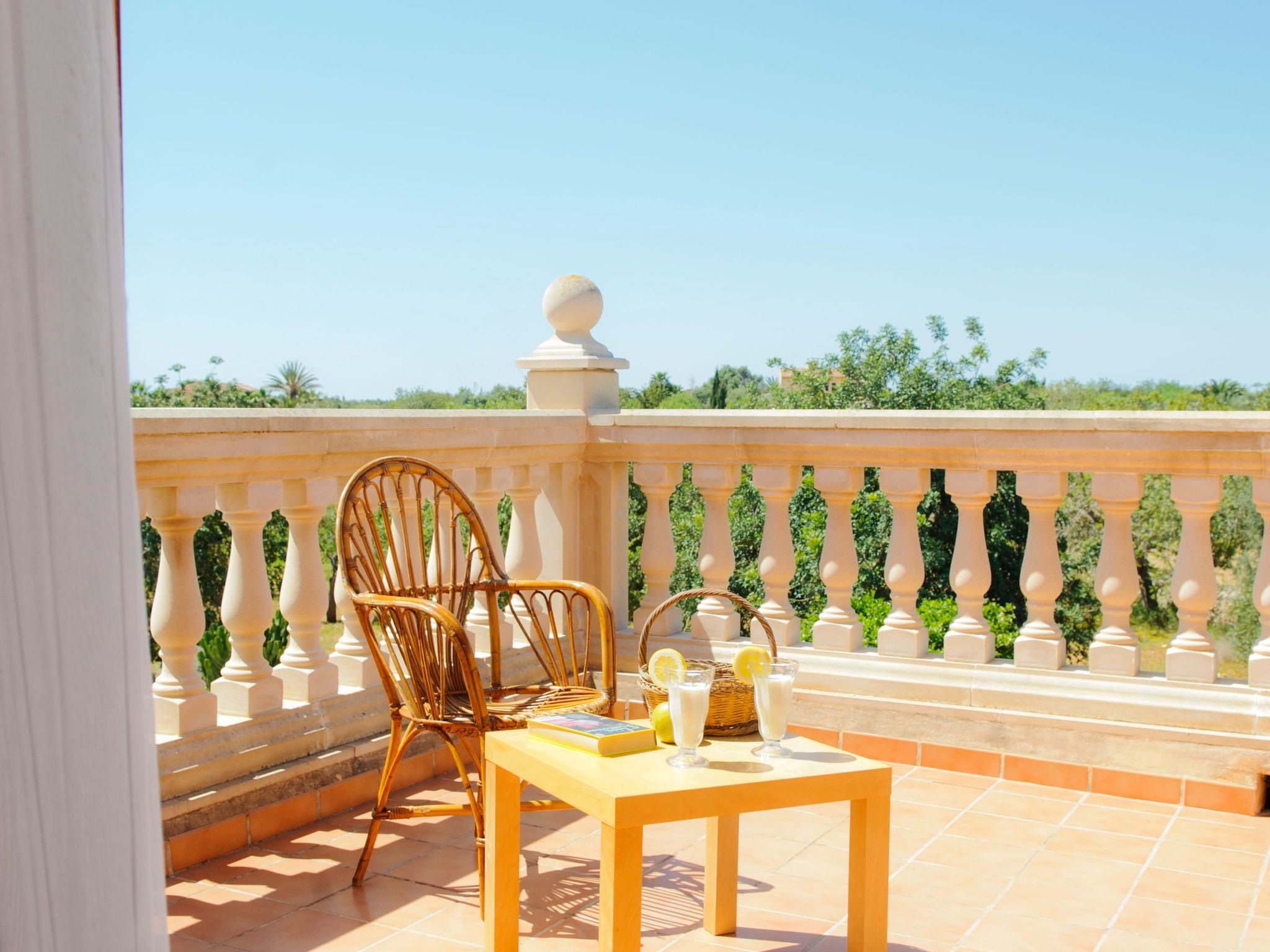 Cullera-Image-tags.info