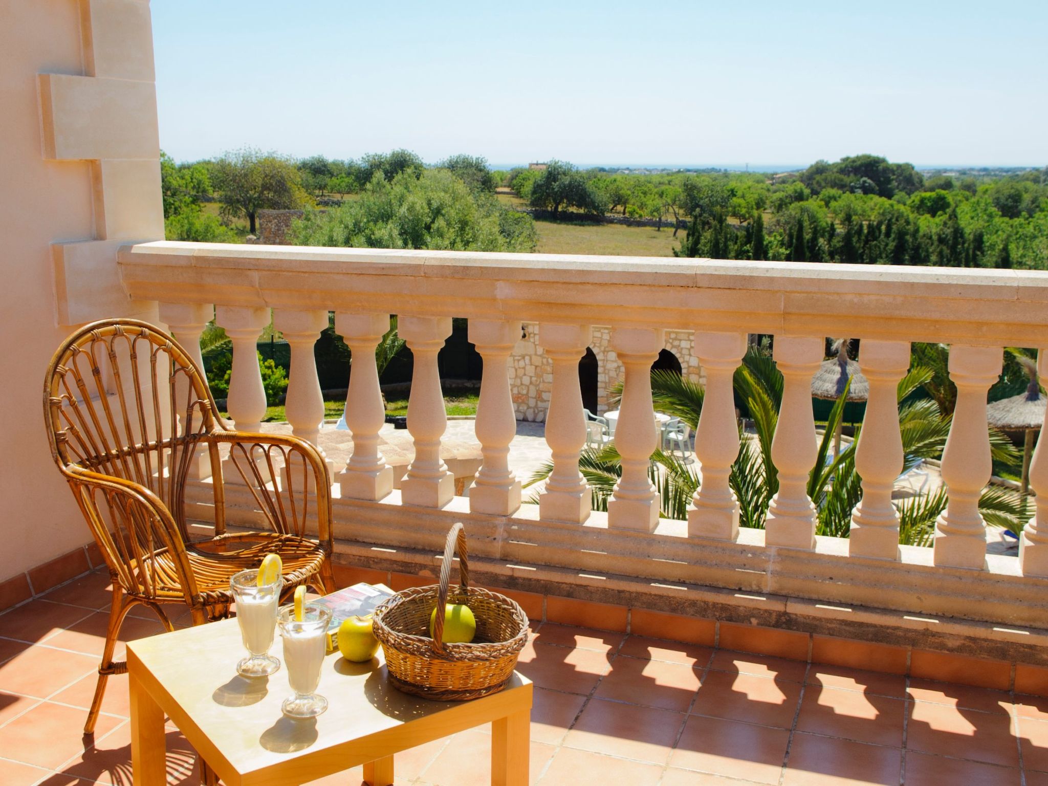 Cullera-Image-tags.info