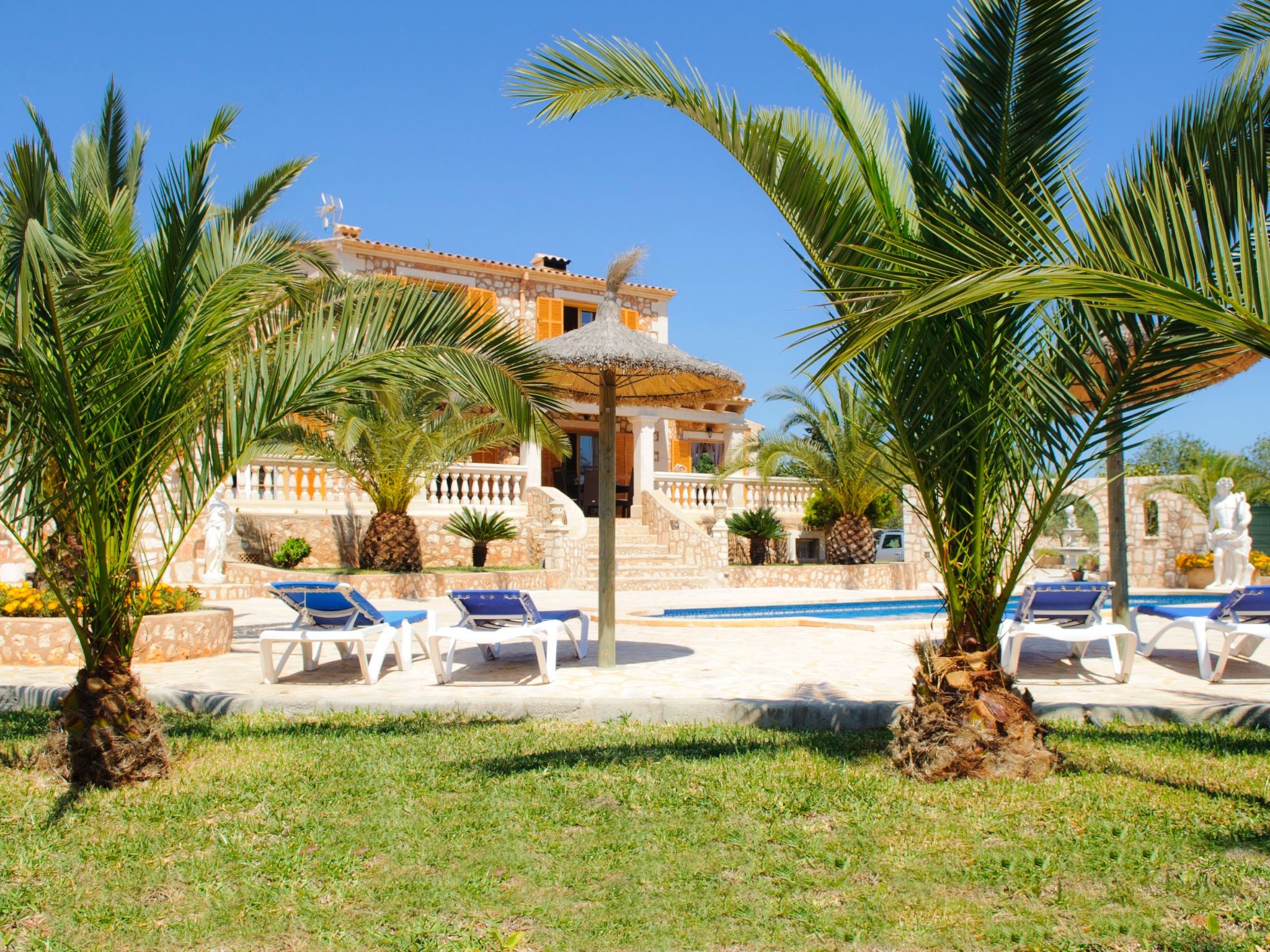 Cullera-Image-tags.info