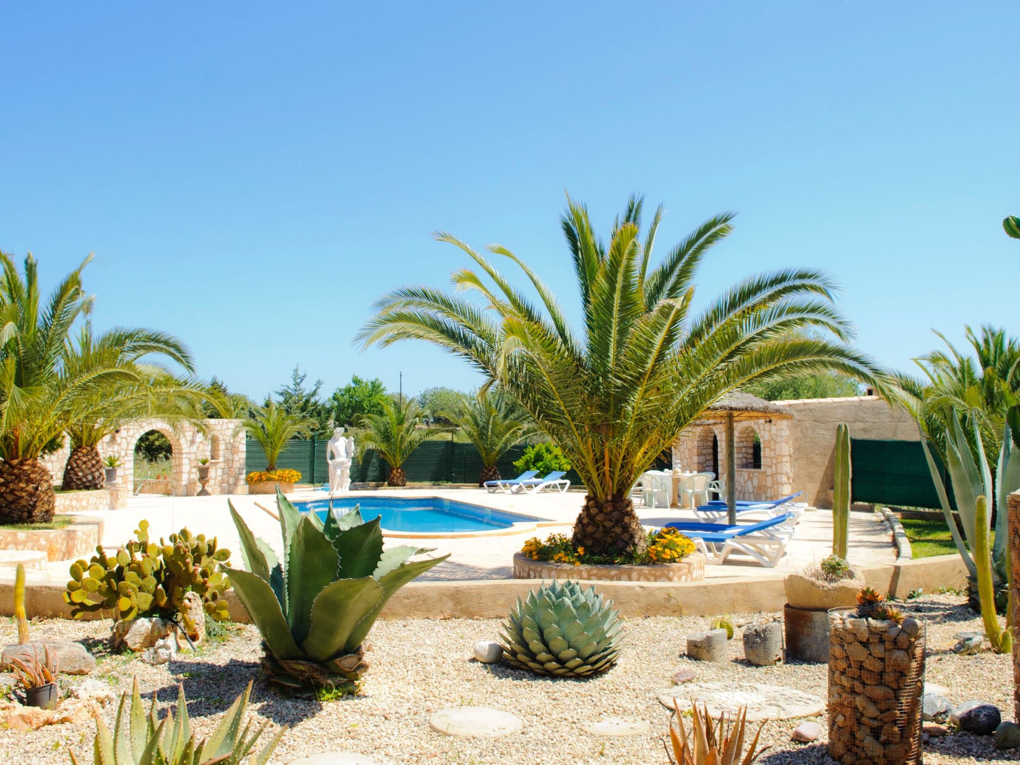 Cullera-Image-tags.info