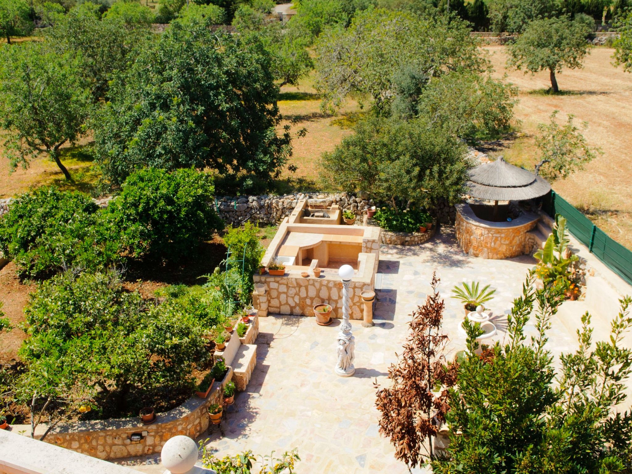 Cullera-Image-tags.info