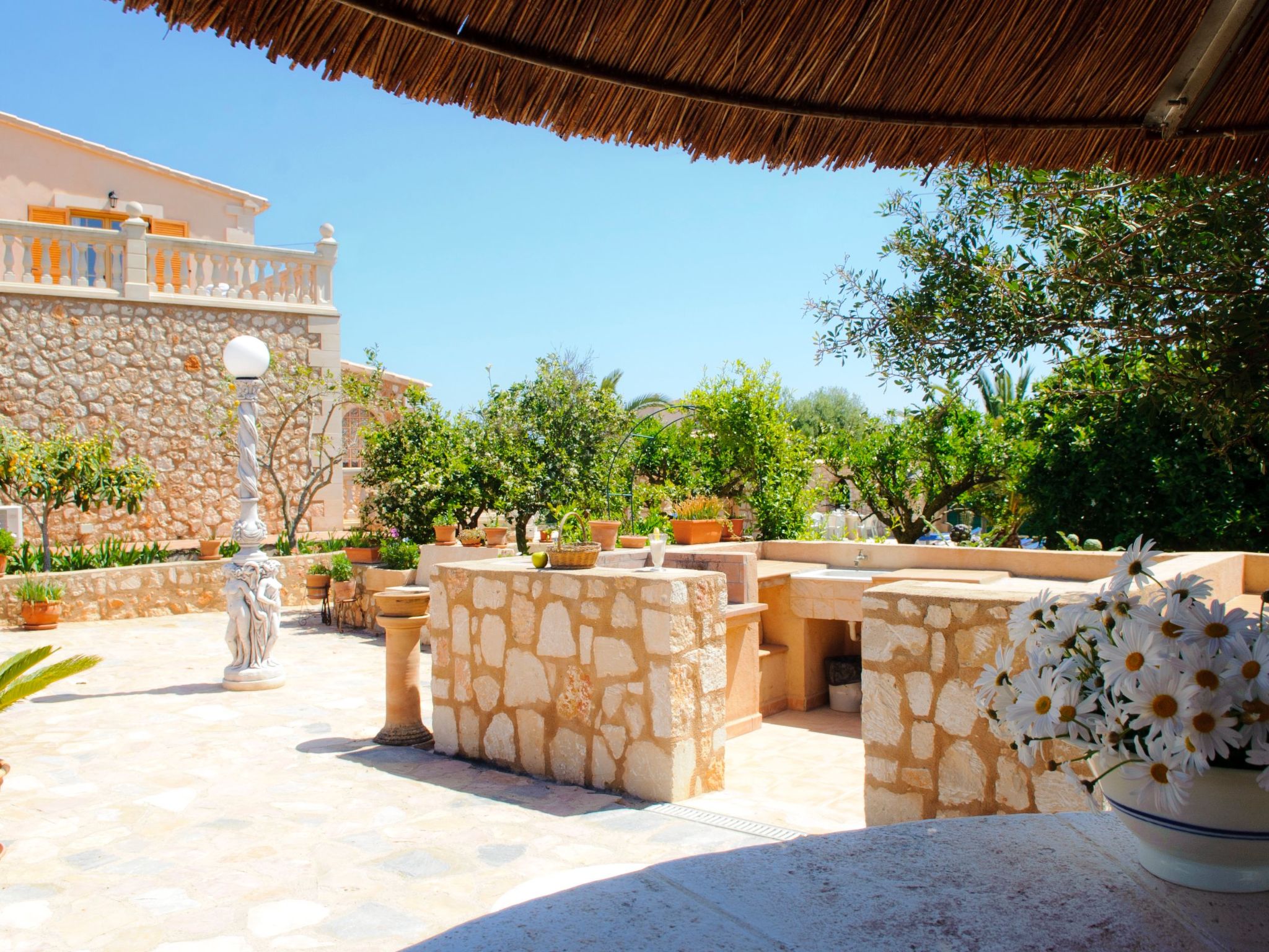 Cullera-Image-tags.info