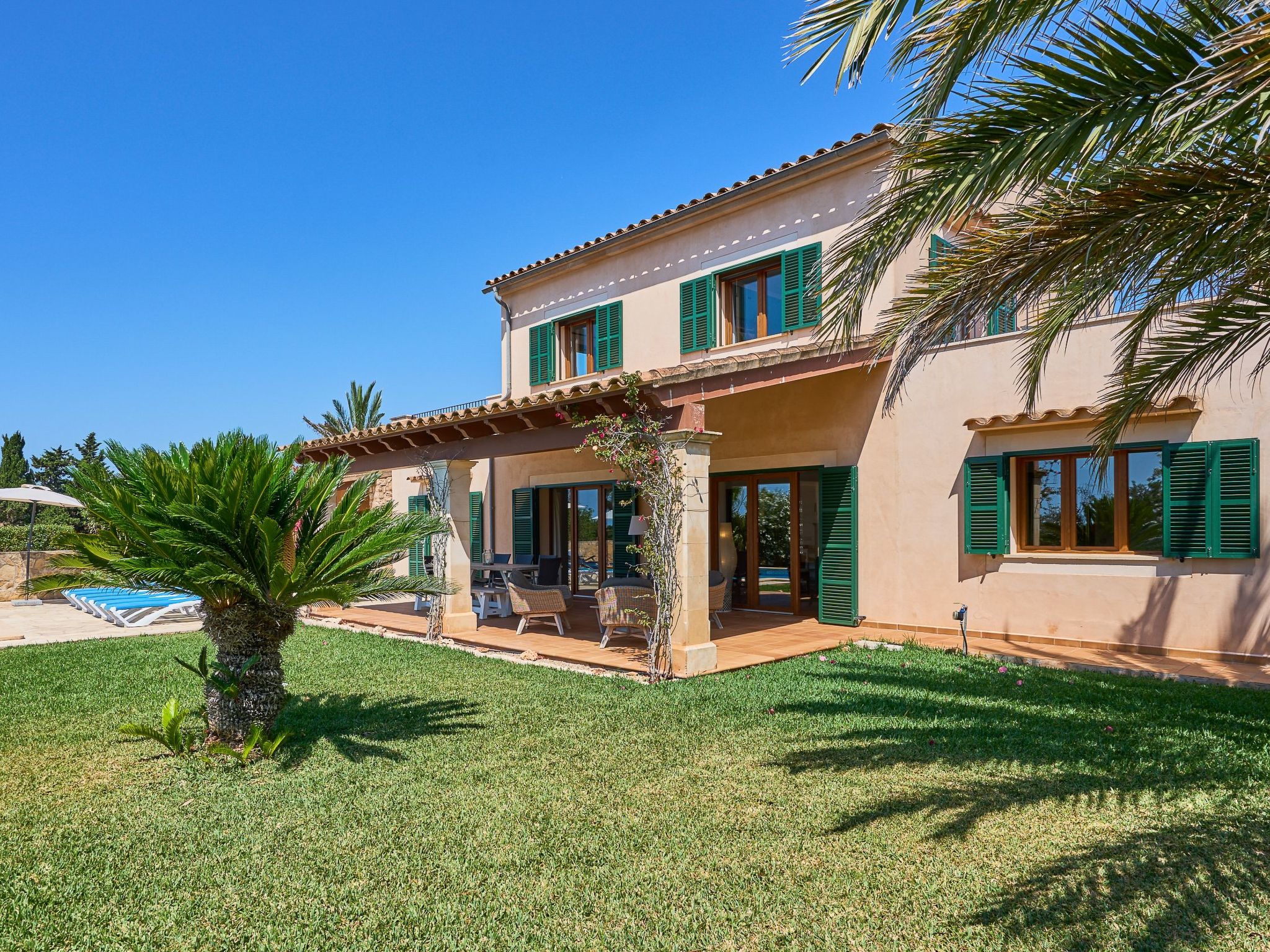 Miralu-Image-tags.info