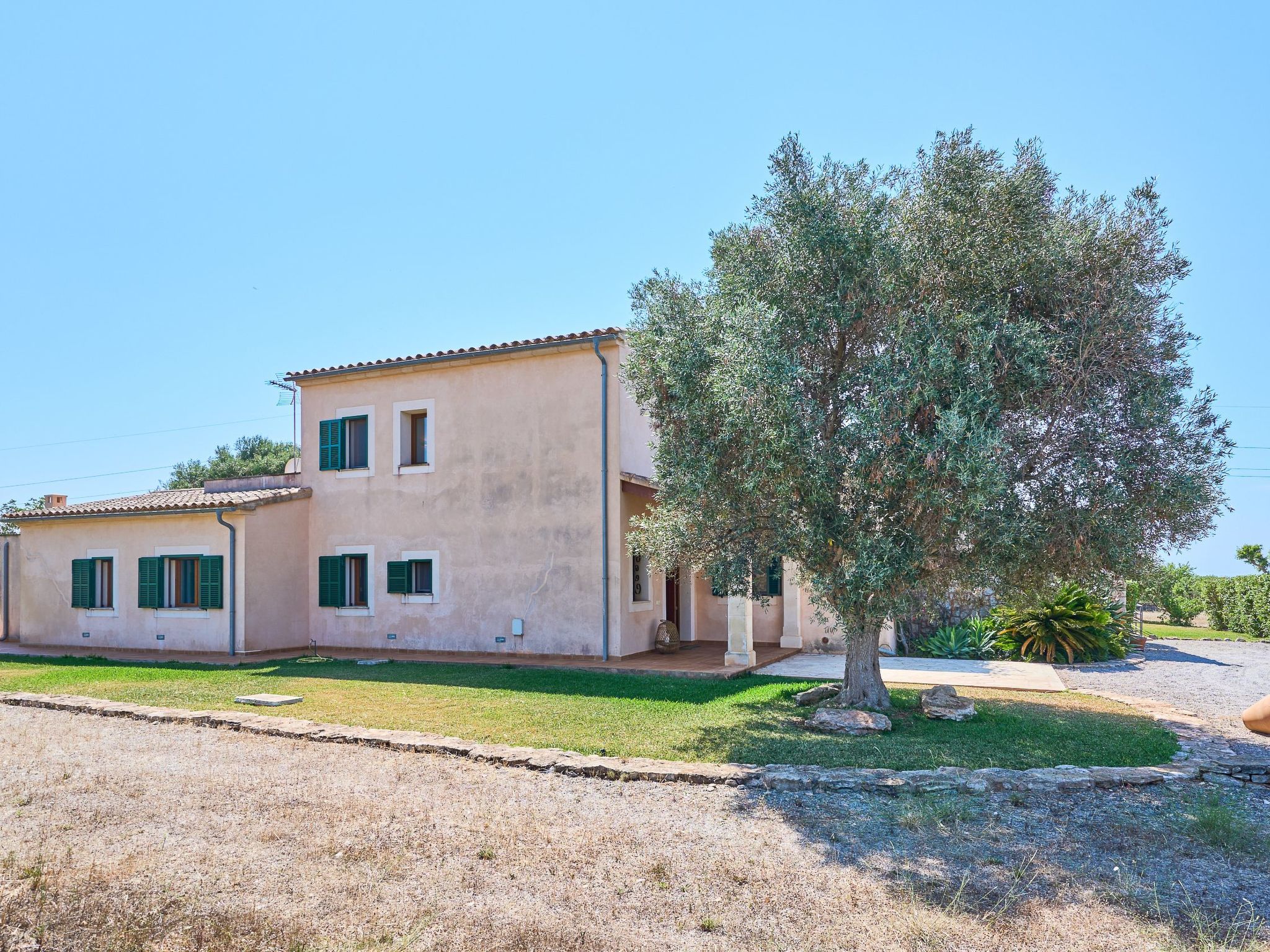 Miralu-Image-tags.info