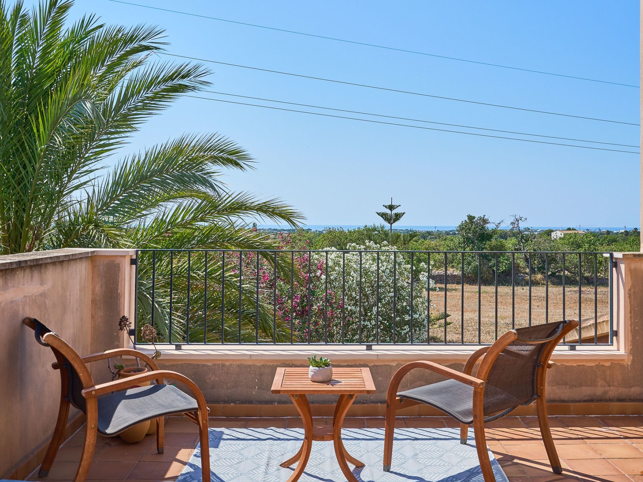 Miralu-Image-tags.info