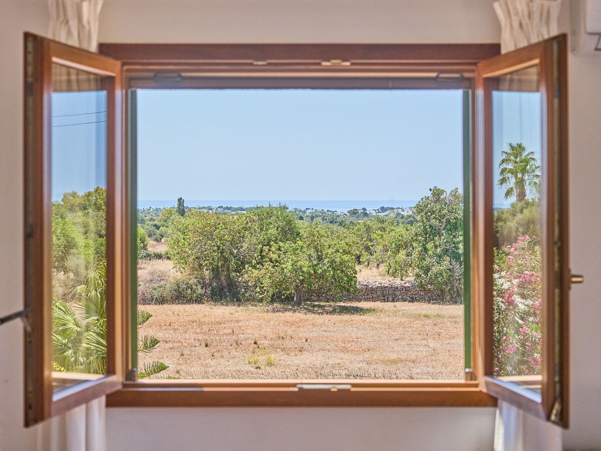 Miralu-Image-tags.info