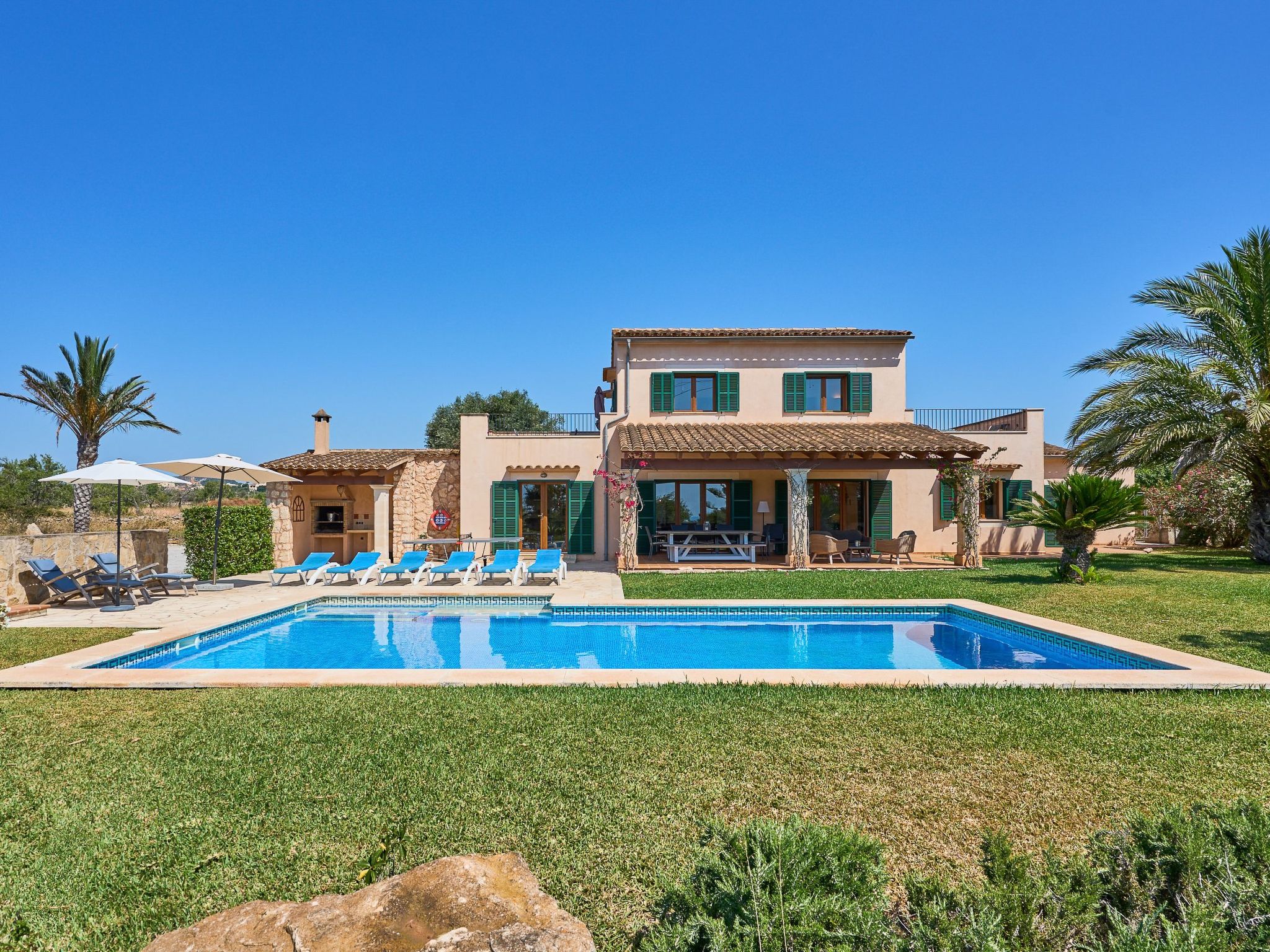 Miralu-Image-tags.info