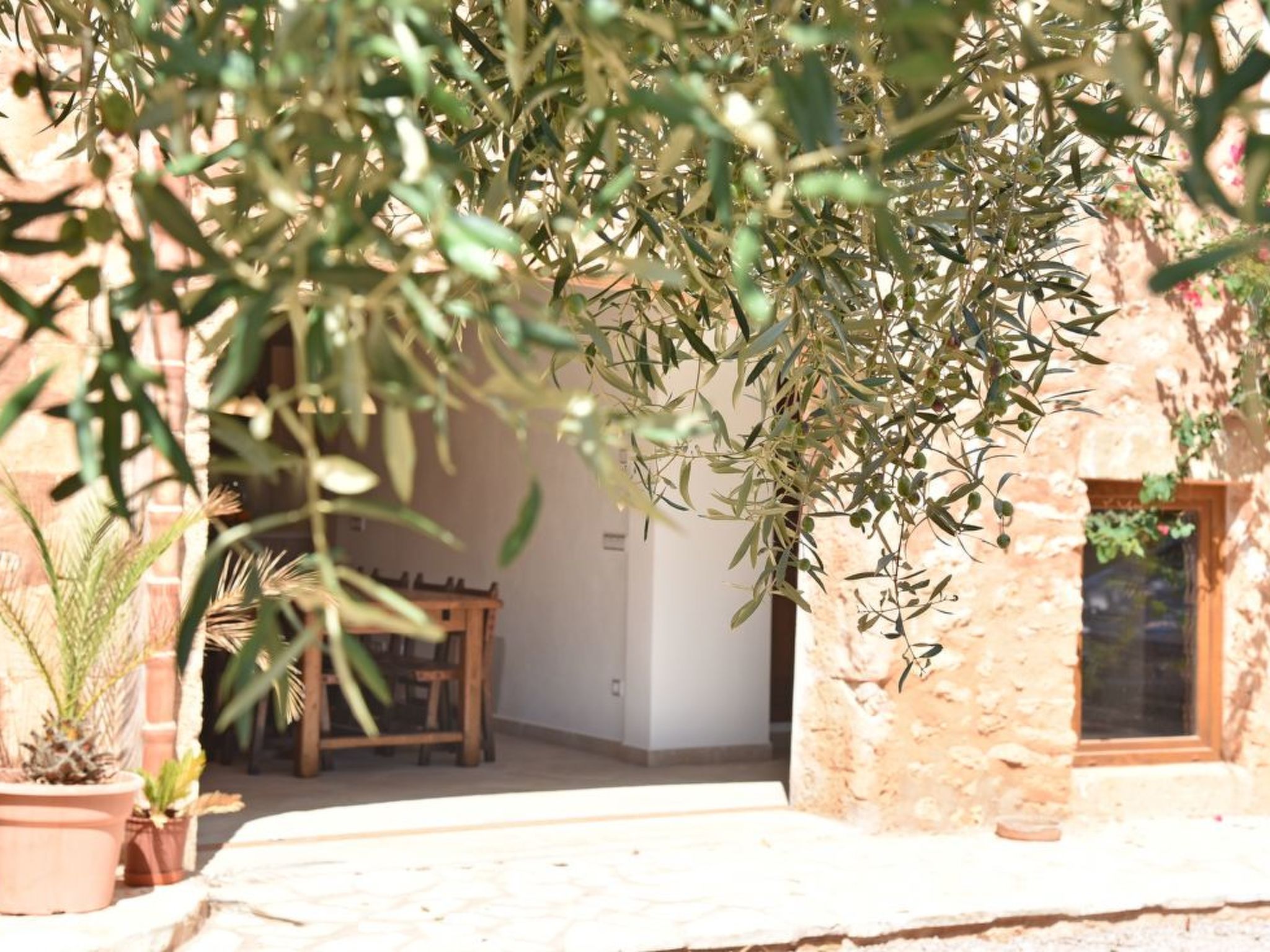 Sonduri-Image-tags.info