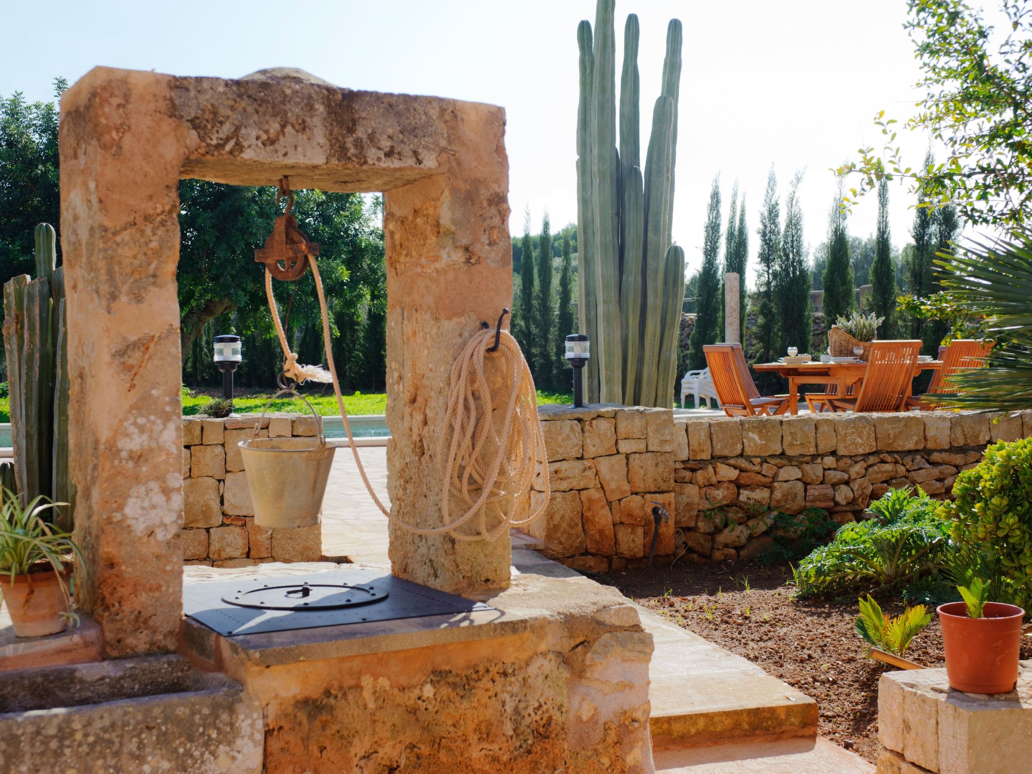 Mondrago Duri-Image-tags.info