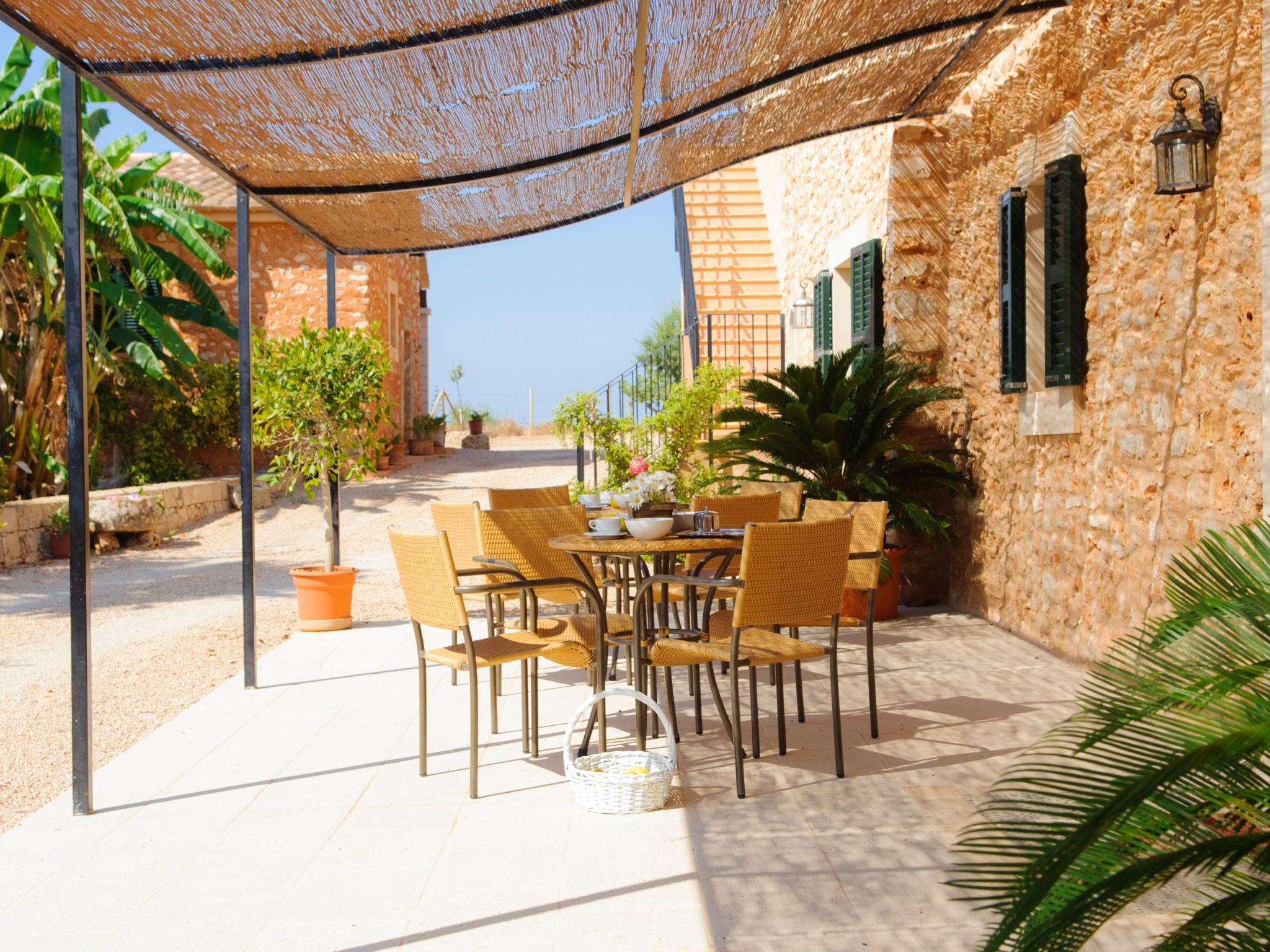 Mondrago Duri-Image-tags.info