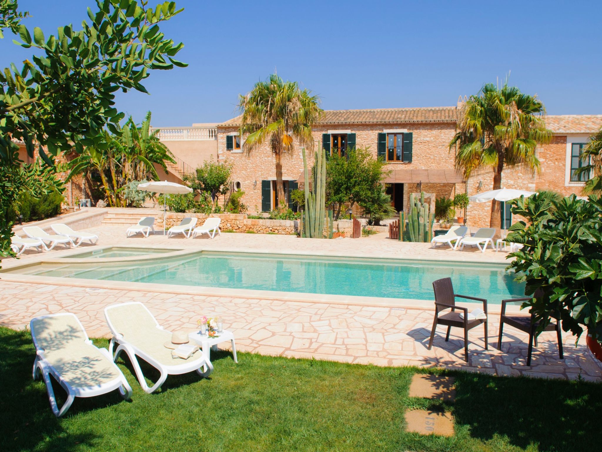 Mondrago Duri-Image-tags.info