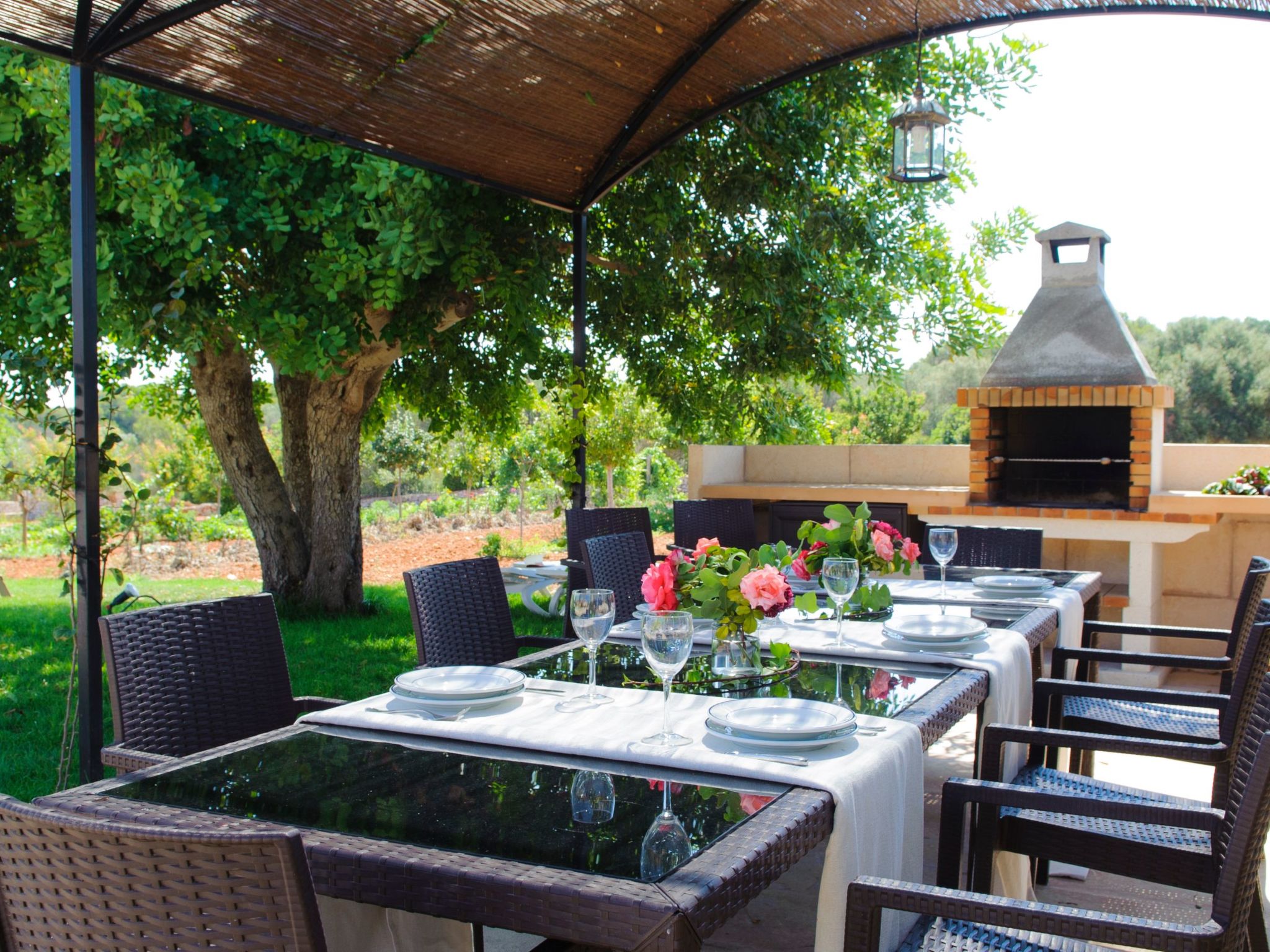 Mondrago Duri-Image-tags.info