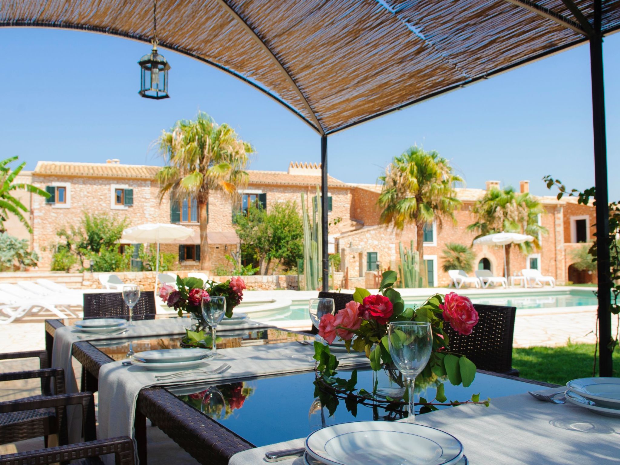 Mondrago Duri-Image-tags.info