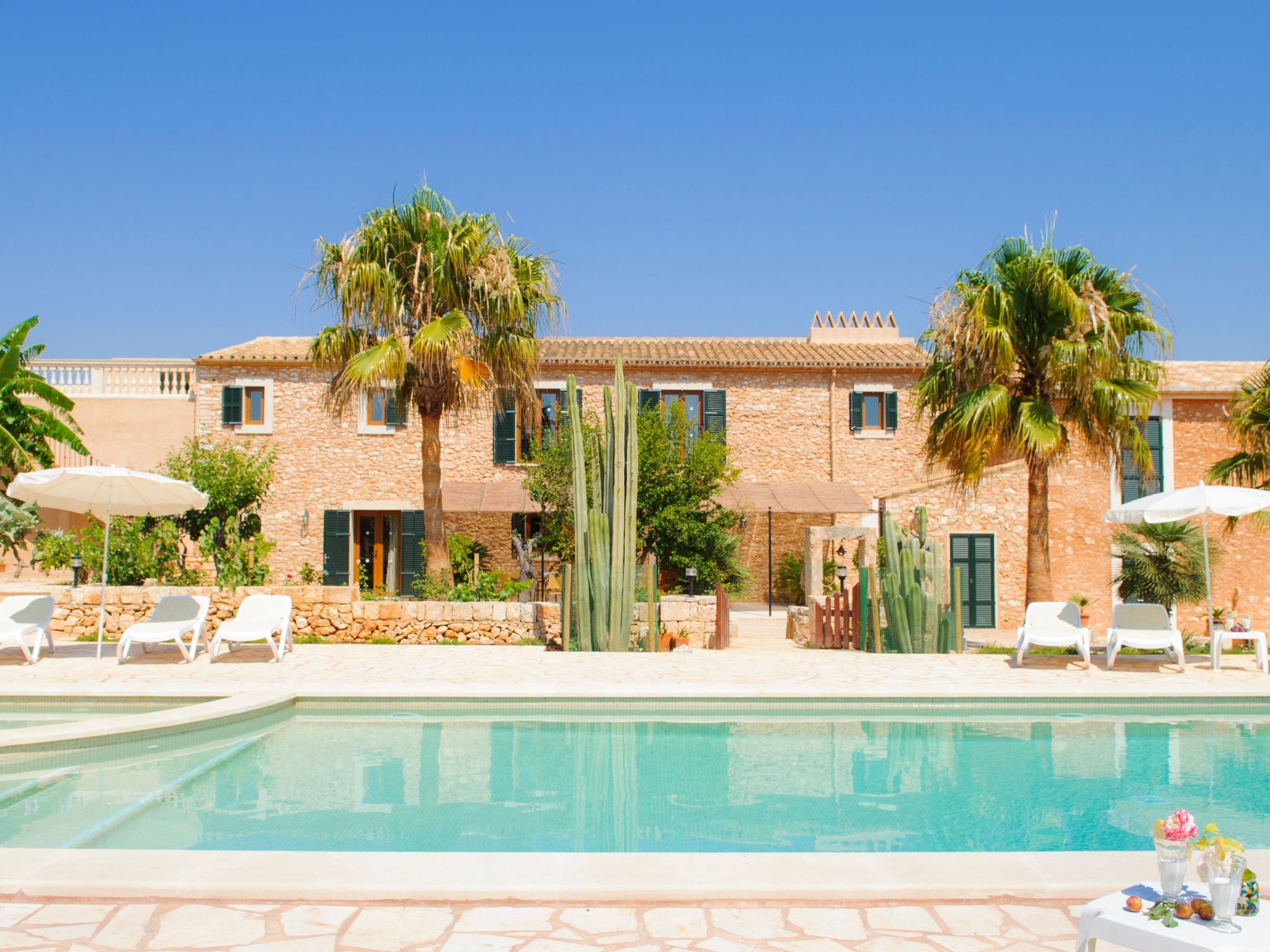 Mondrago Duri-Image-tags.info